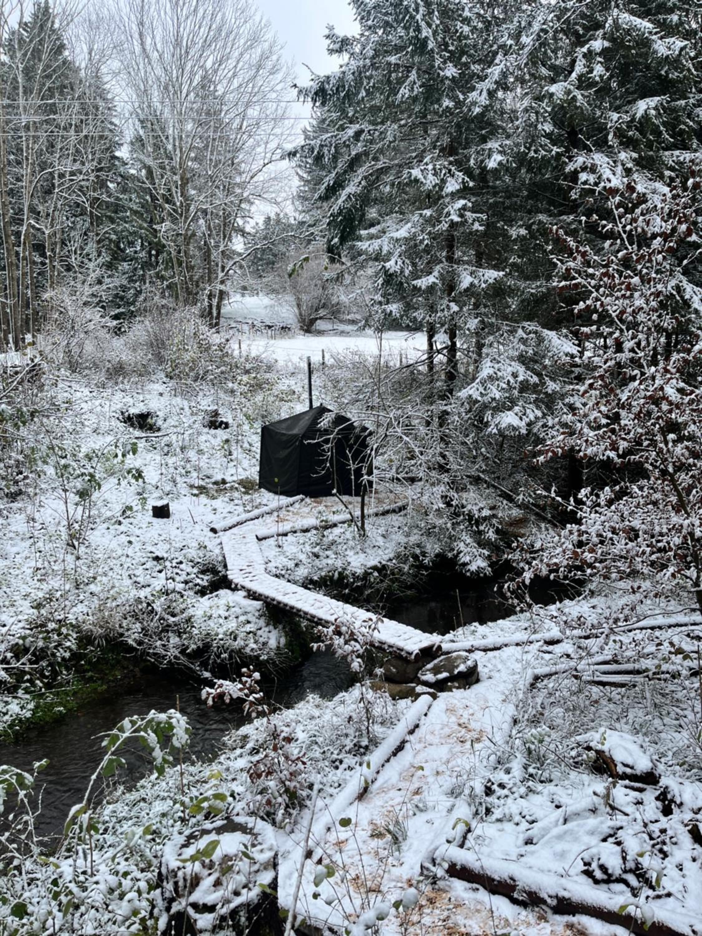 Wald ist Zukunft