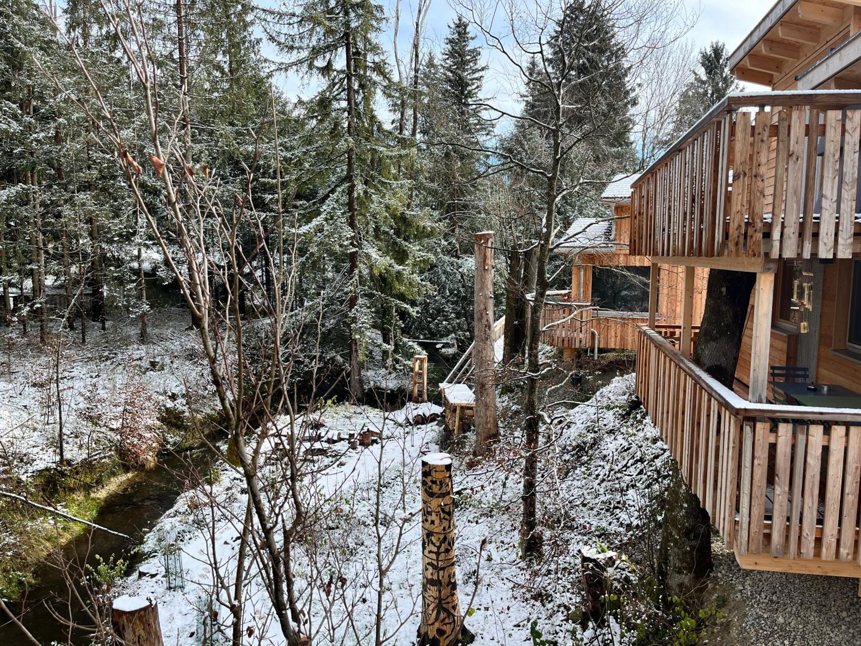 Wald ist Zukunft