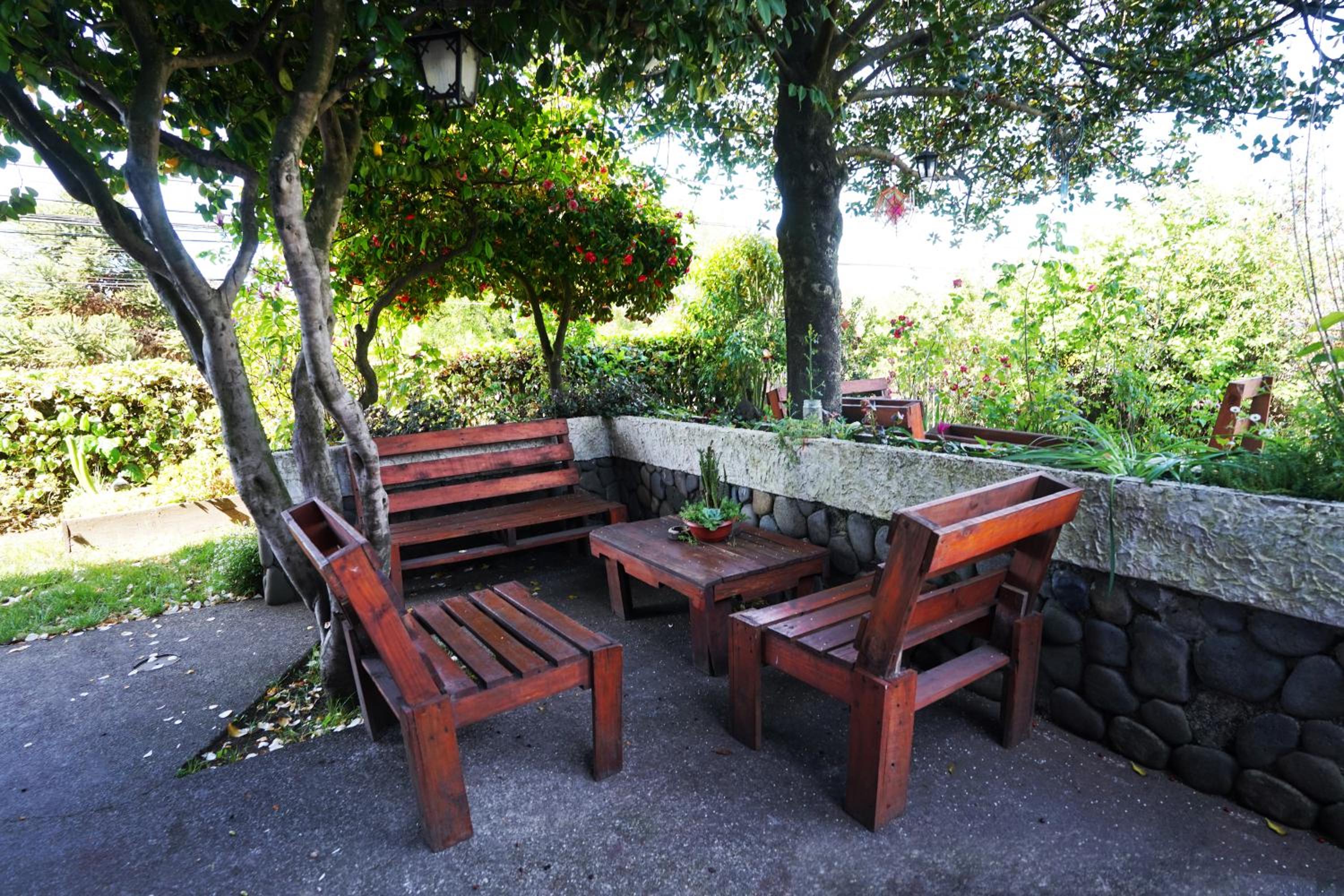 Hostal Micelio