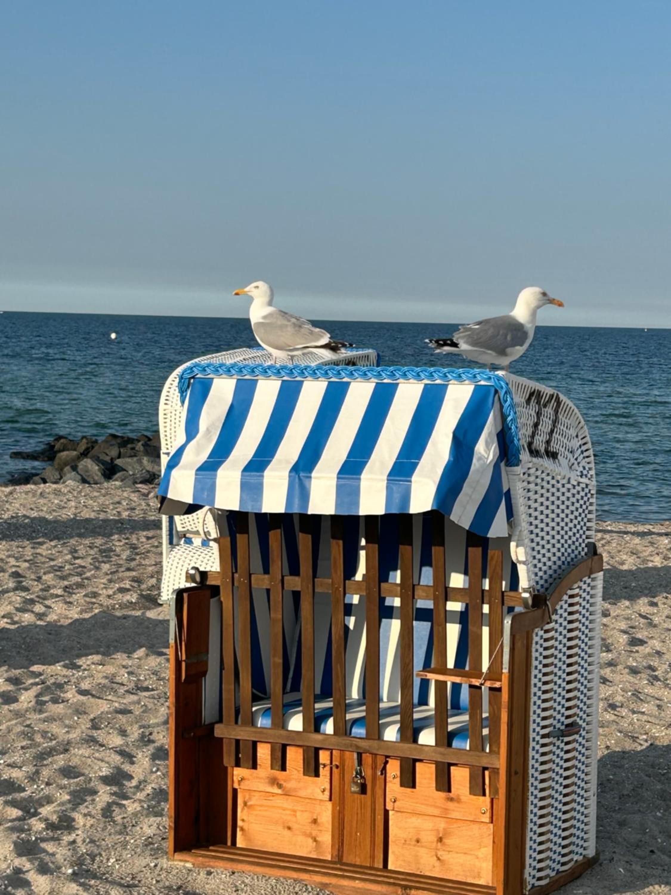 Toplage direkt an der Steilküste - FeWo 2 