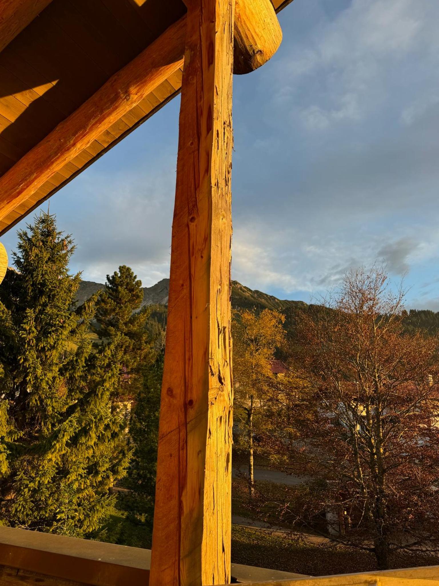 MOUNTAIN LODGE OBERJOCH - Allgäu