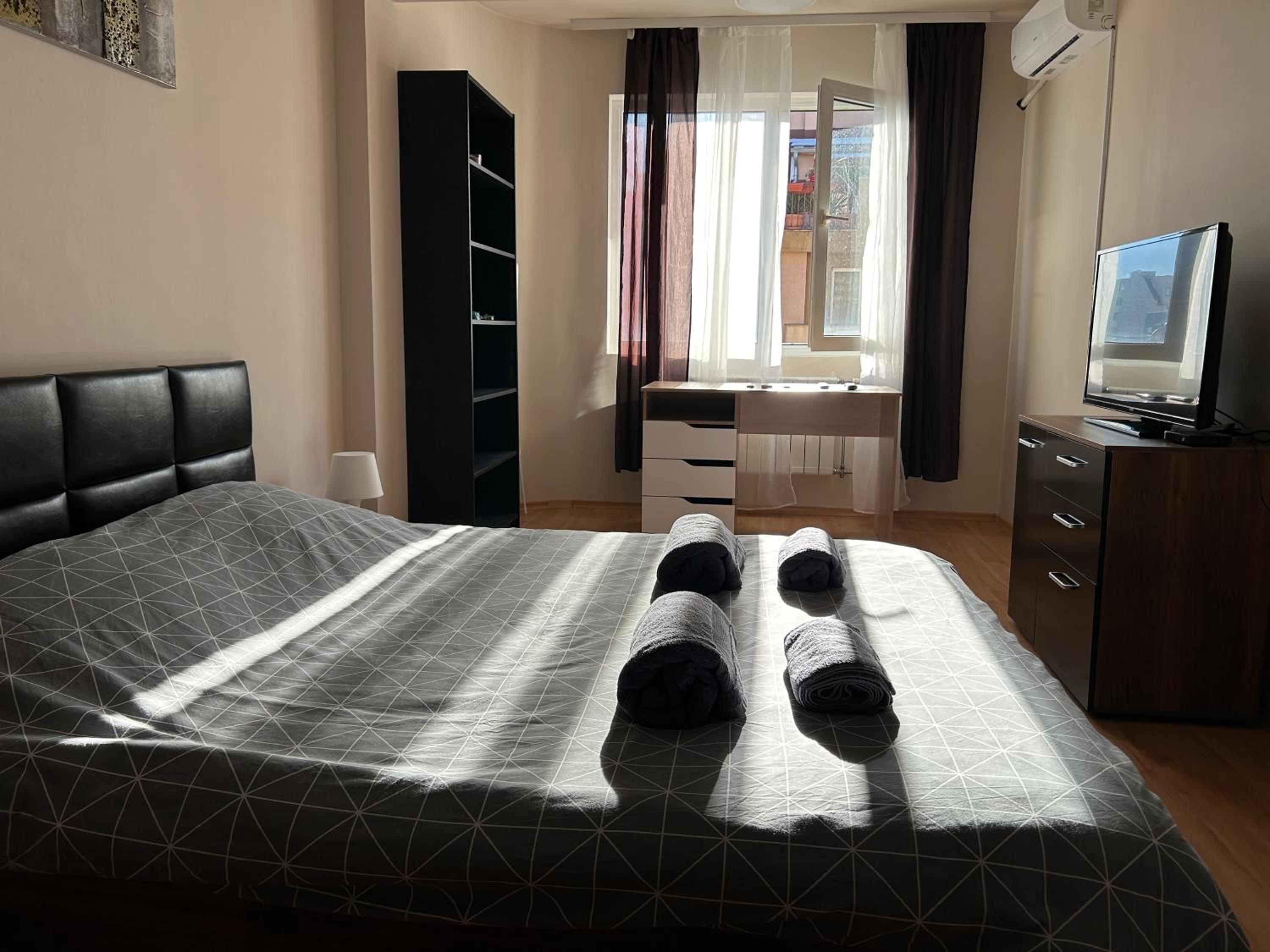 Nice, Spacious and Cozy Apartment