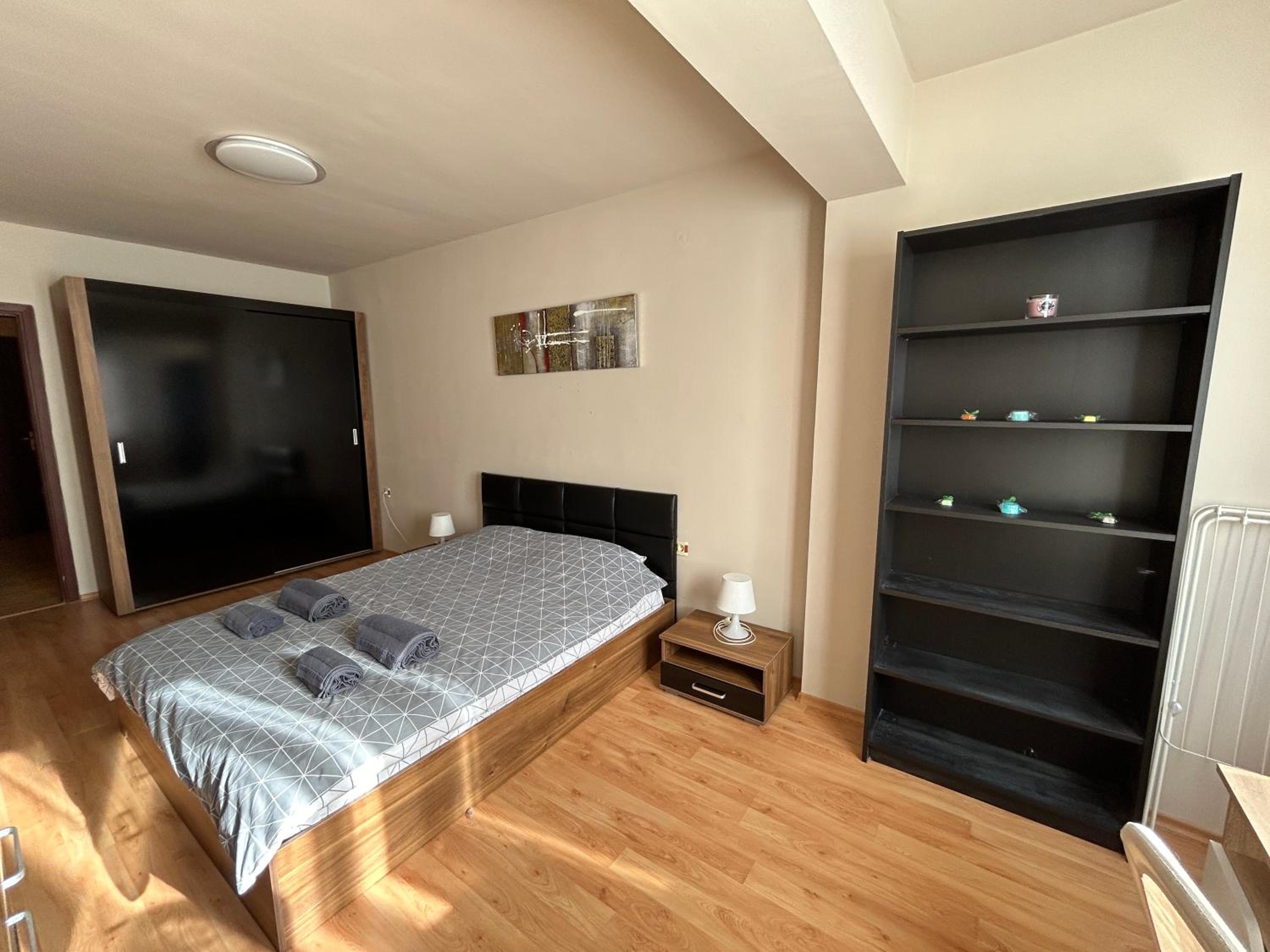 Nice, Spacious and Cozy Apartment