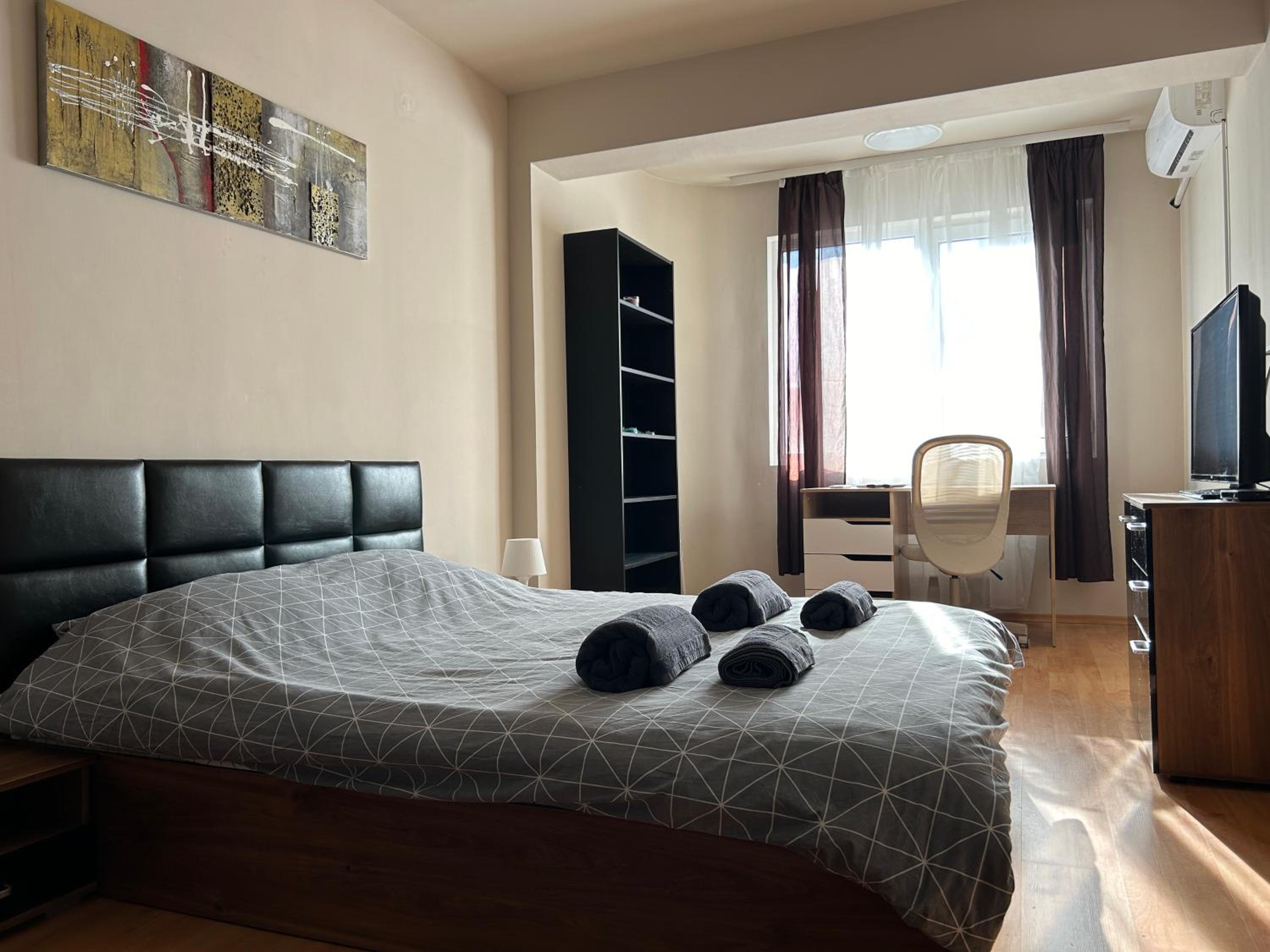 Nice, Spacious and Cozy Apartment