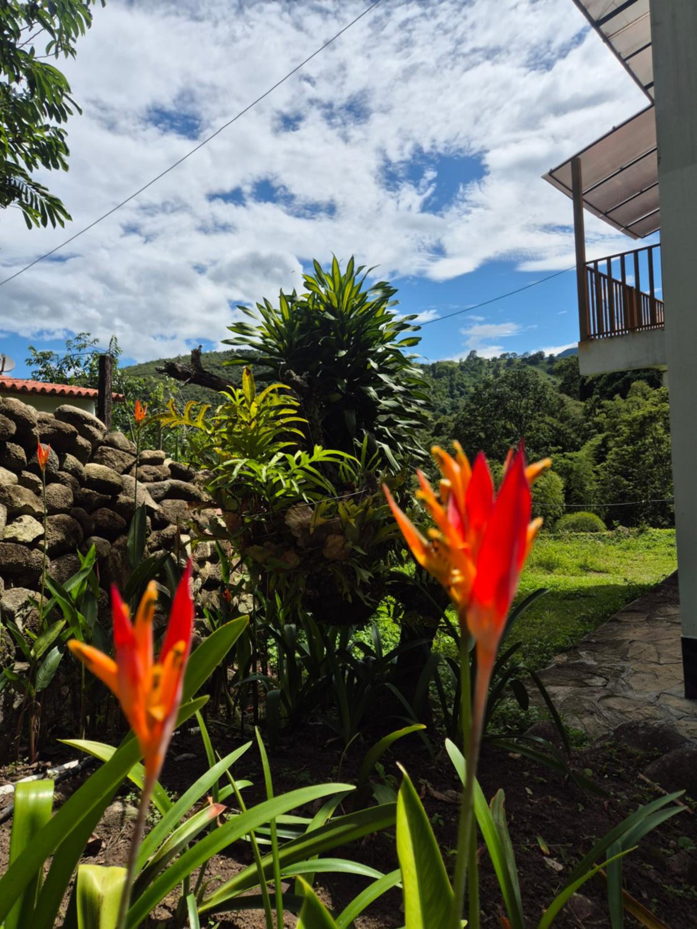 Hotel Campestre Villa Nico