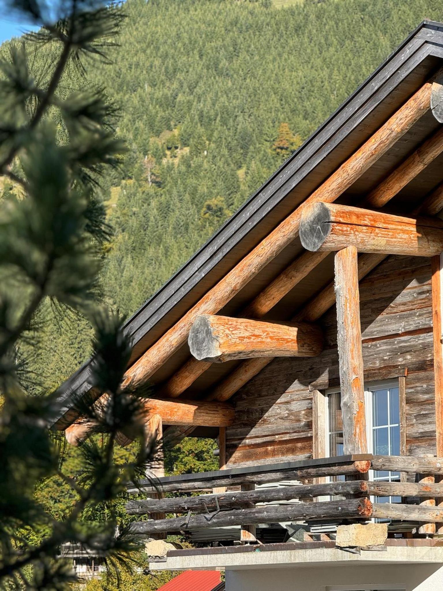 MOUNTAIN LODGE OBERJOCH - Allgäu