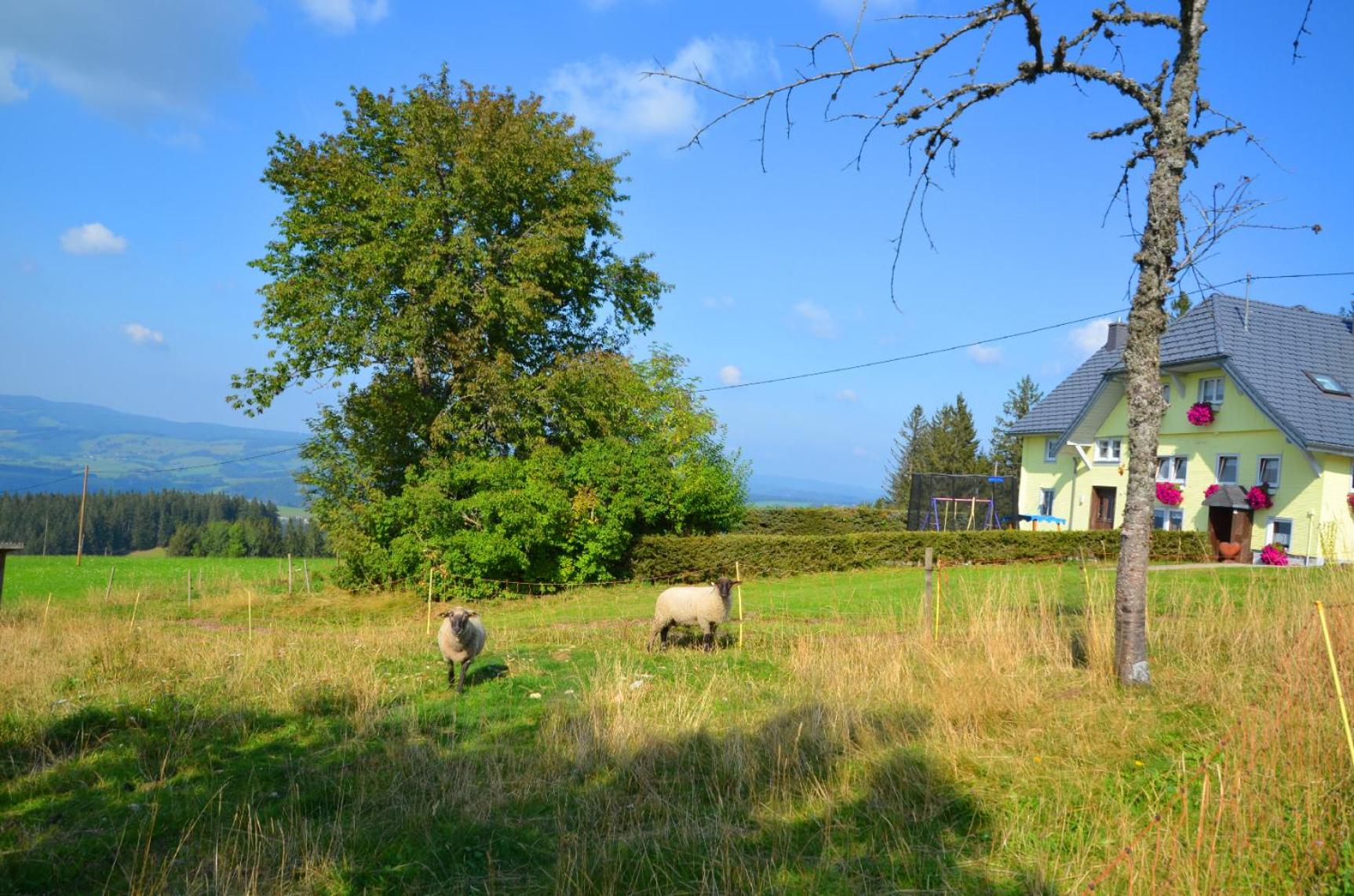 Bäuerleshütte