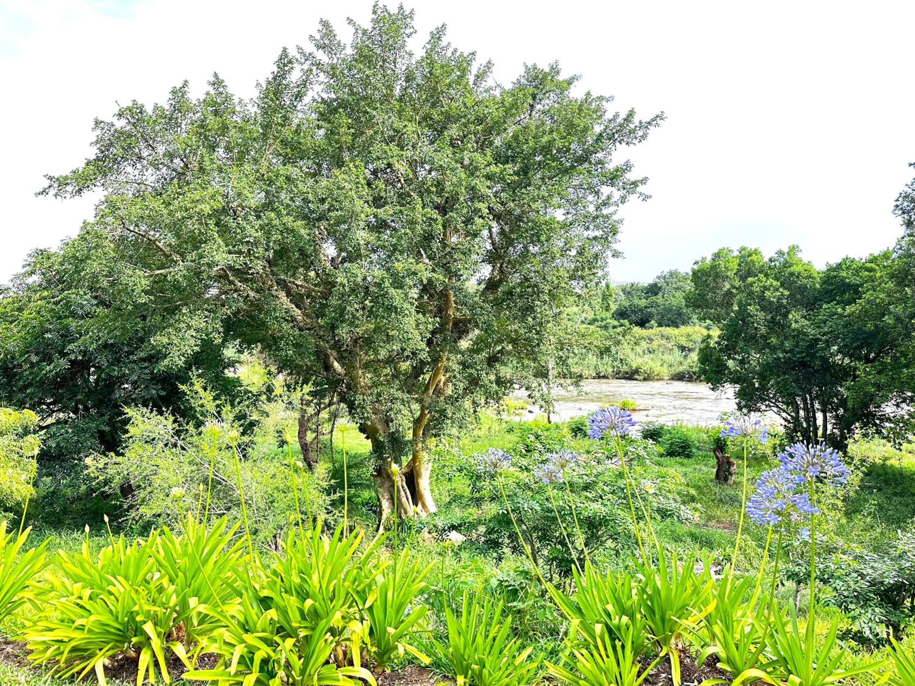Berto's Lodge