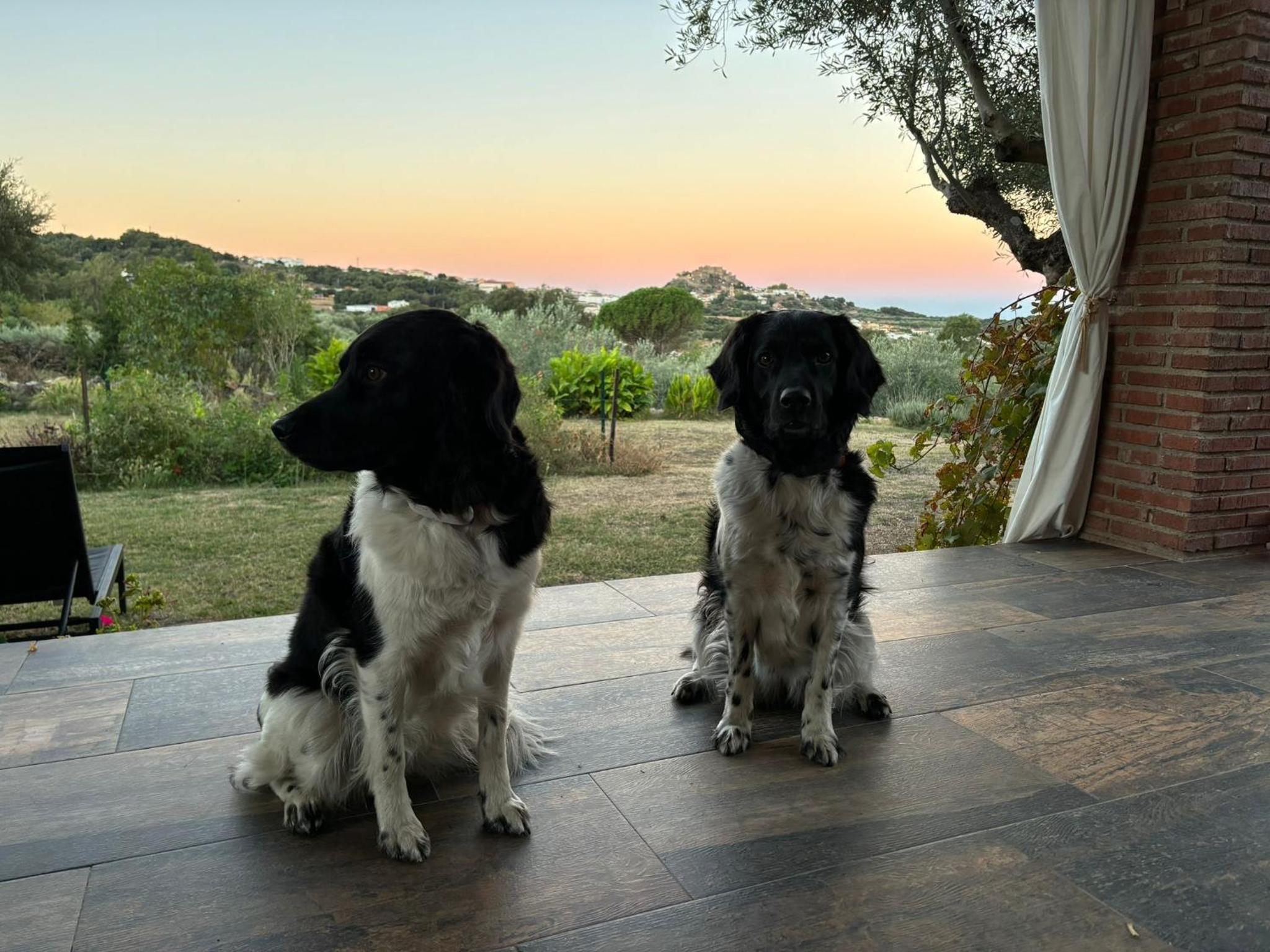 Casa Rural La Recuera