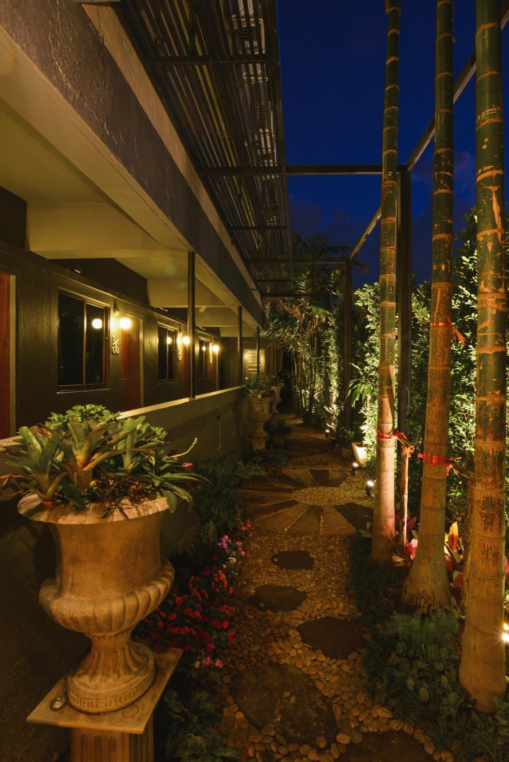 Cozy Inn Chiang Mai
