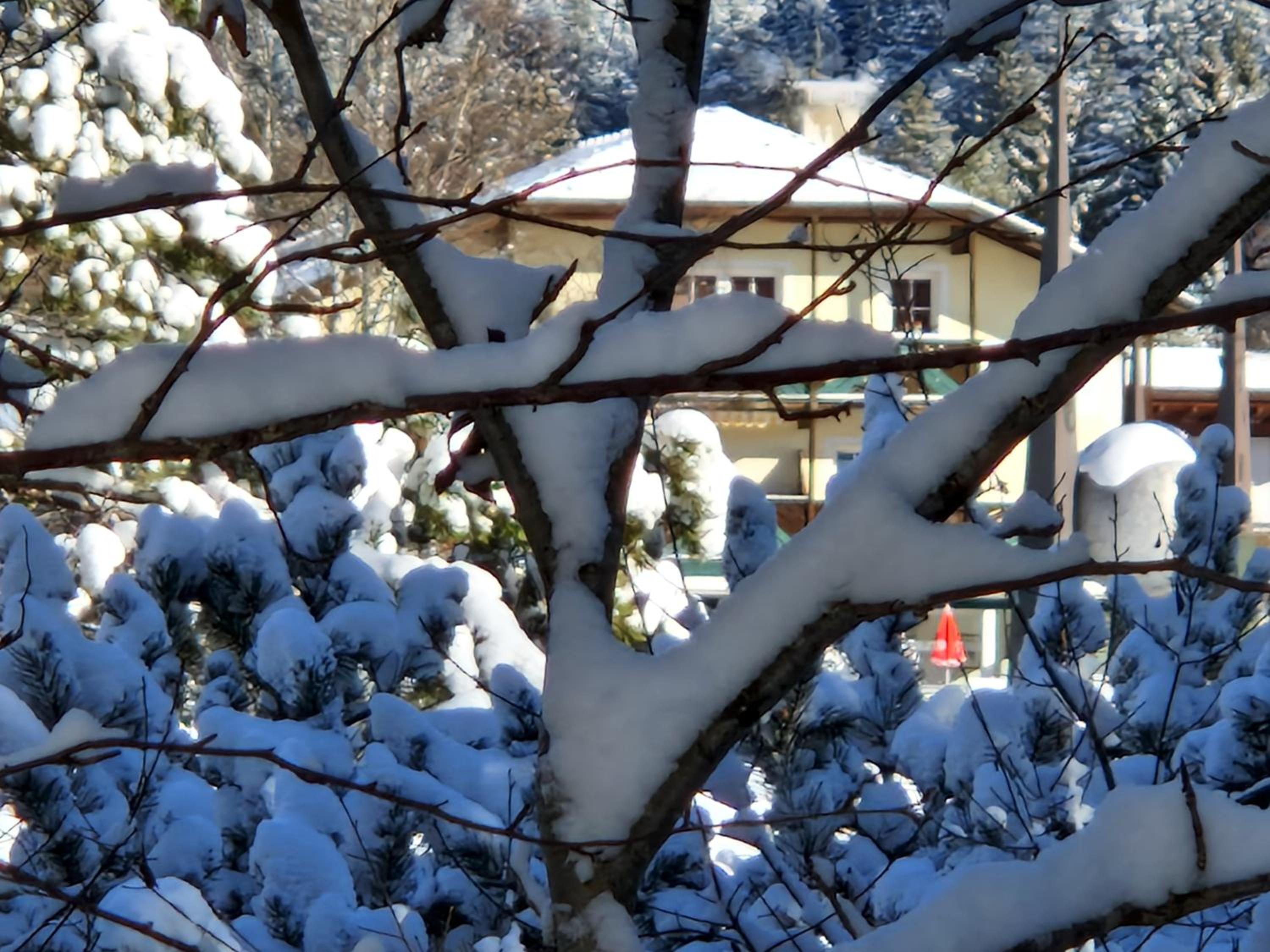 Appartement Bergsee SUN - am Wildsee - atemberaubende Aussicht