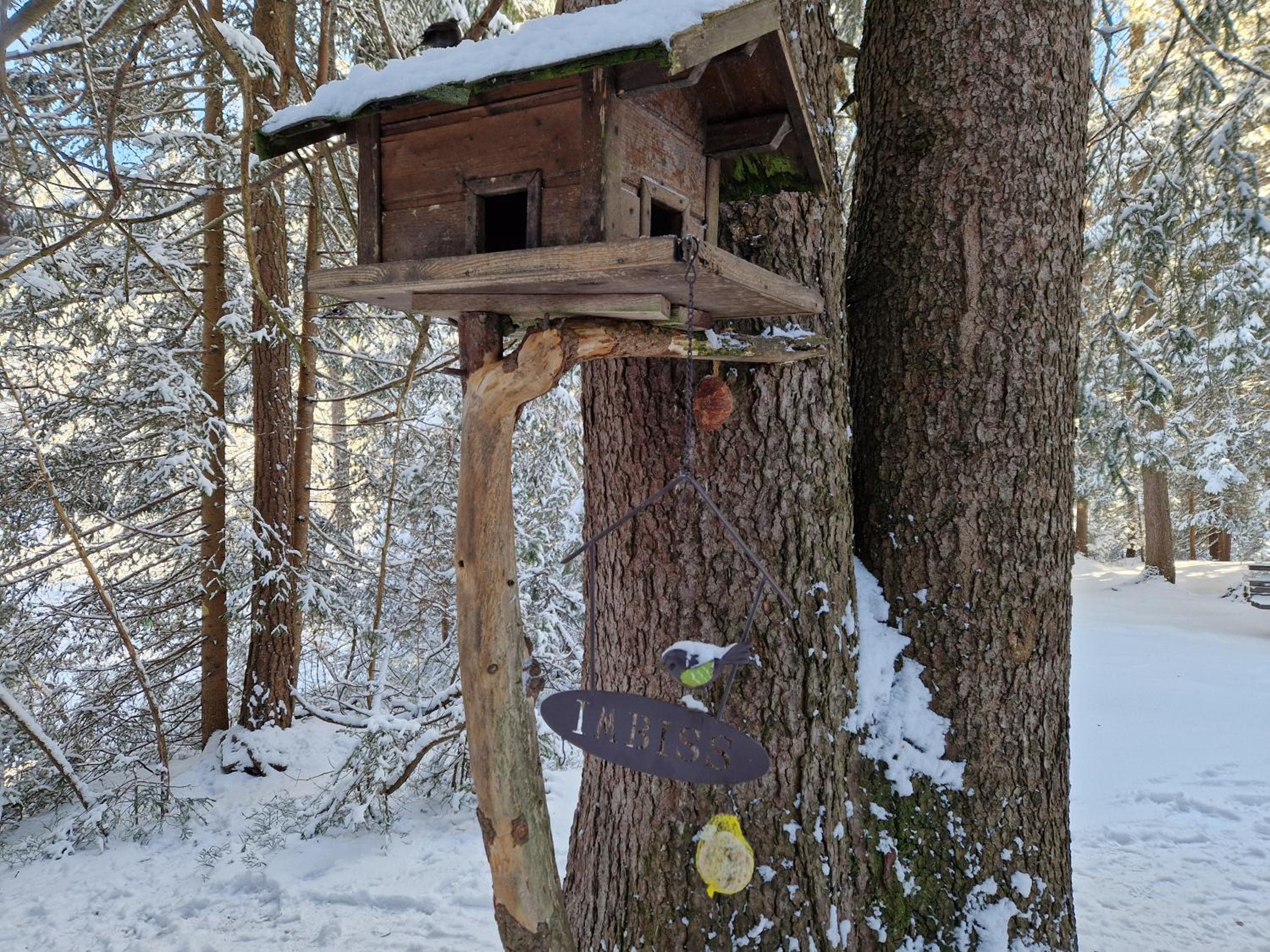 Appartement Bergsee SUN - am Wildsee - atemberaubende Aussicht