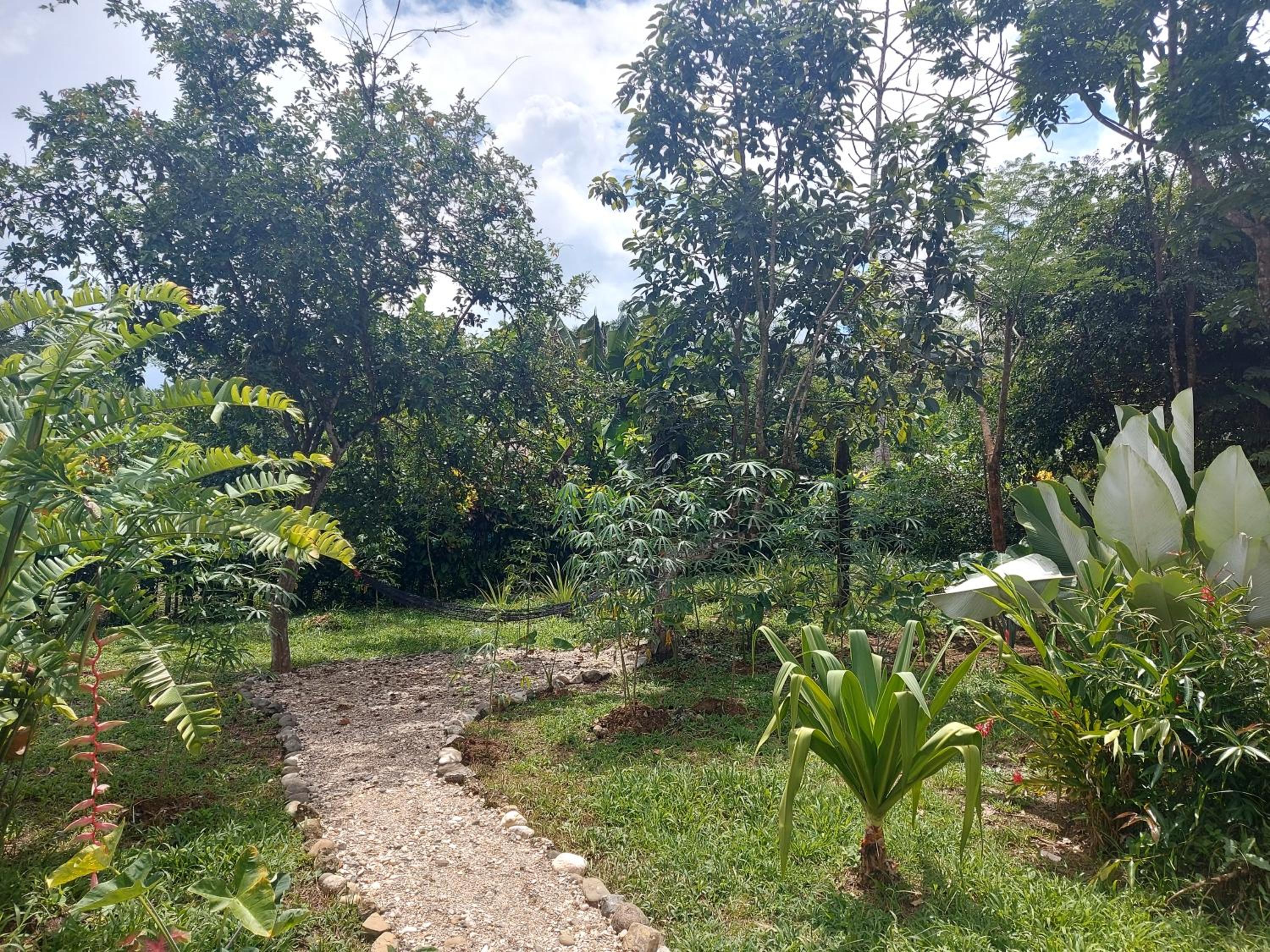 Lodging Adventure La Gamba