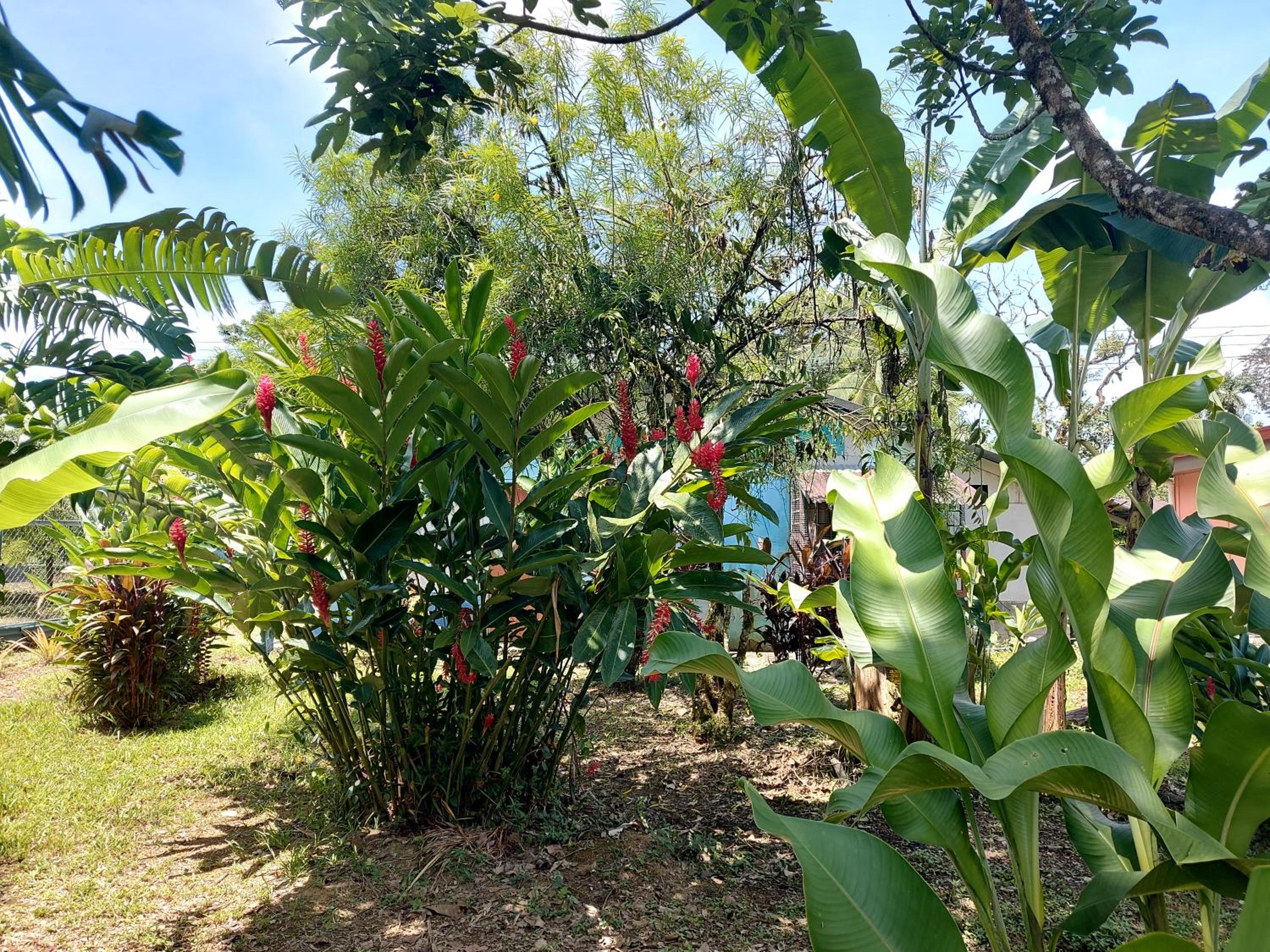 Lodging Adventure La Gamba