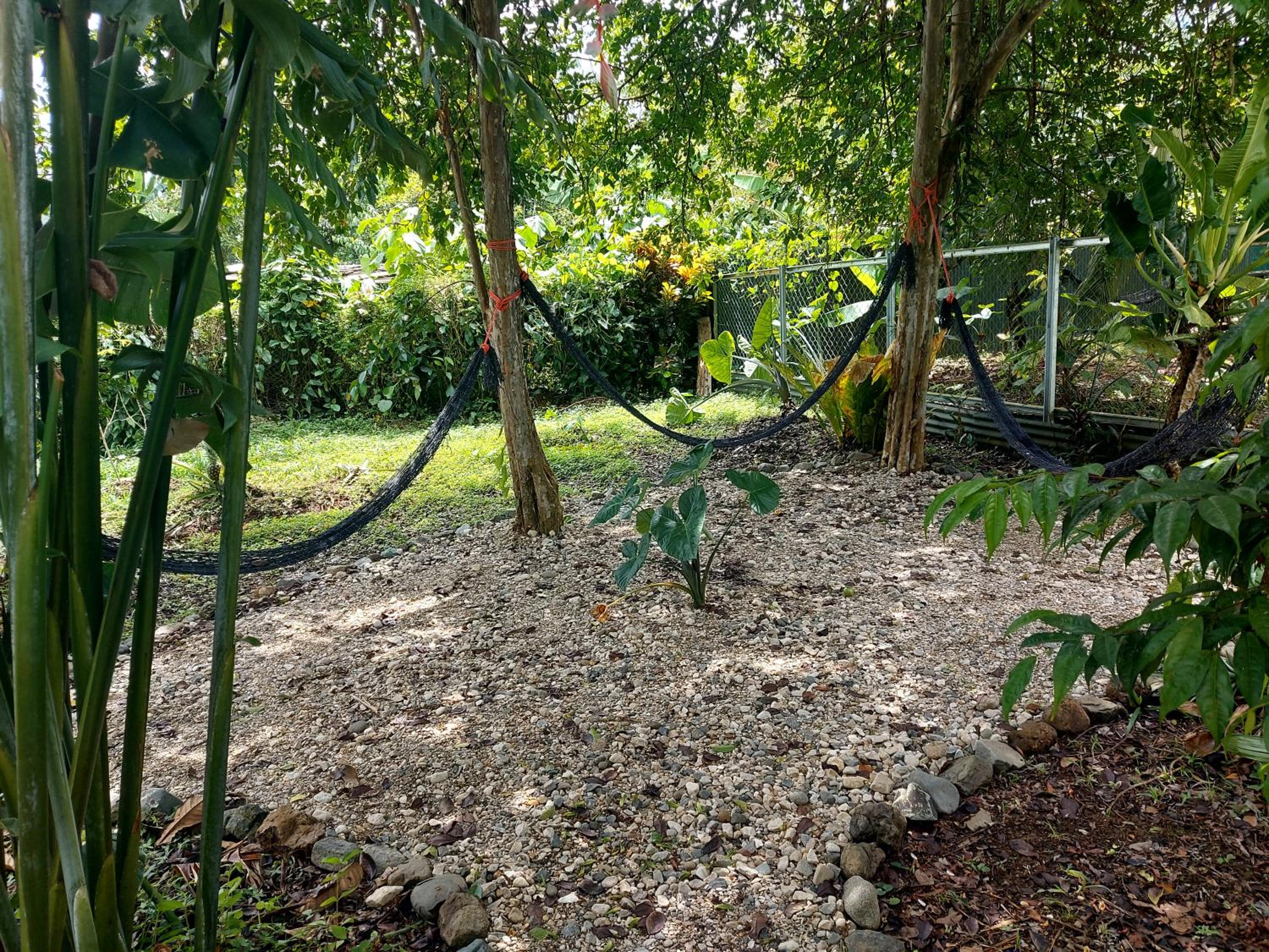 Lodging Adventure La Gamba