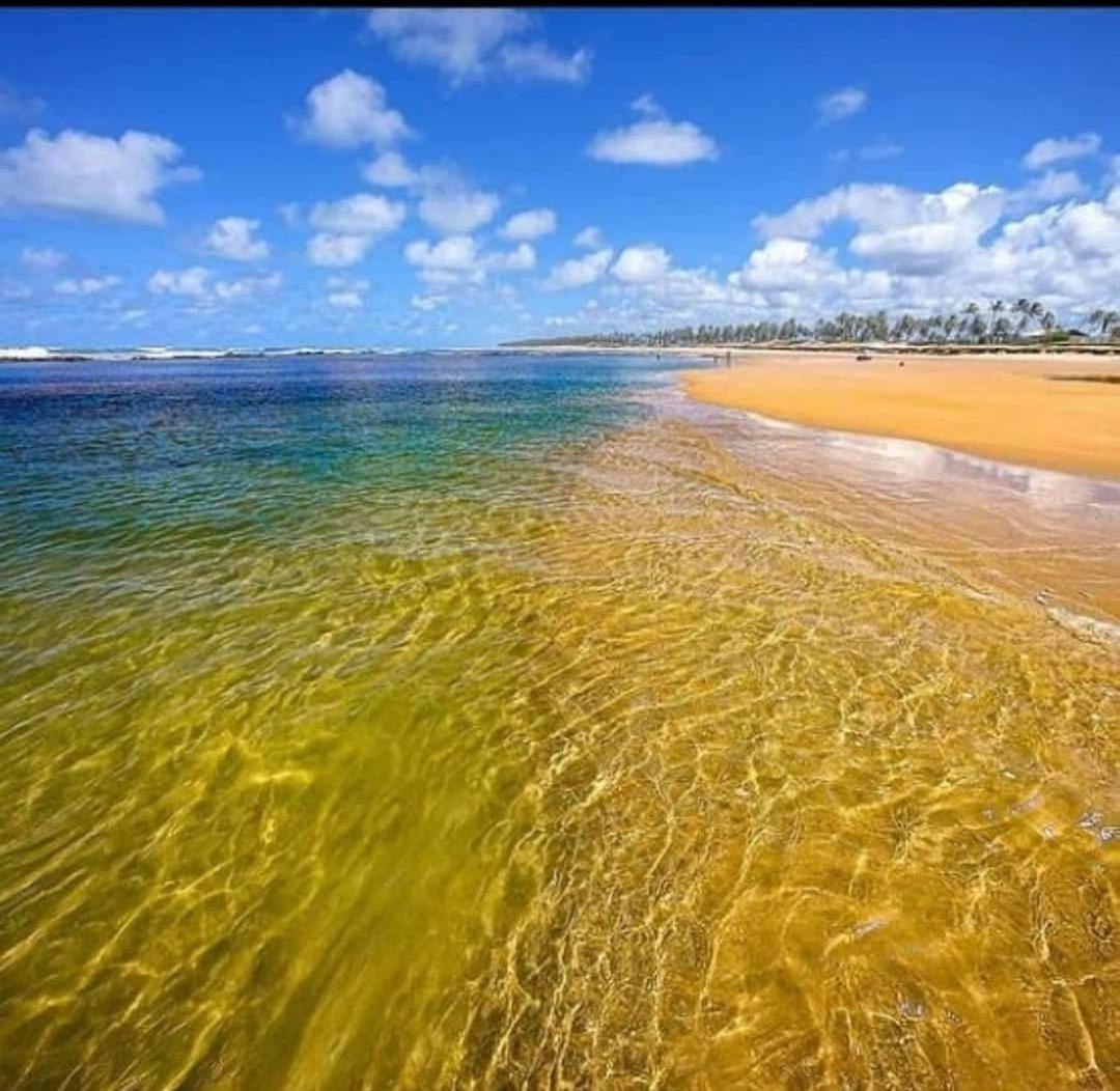 Apartamento Térreo 3 suítes Master Resort Treebies à Beira Mar Subauma Bahia
