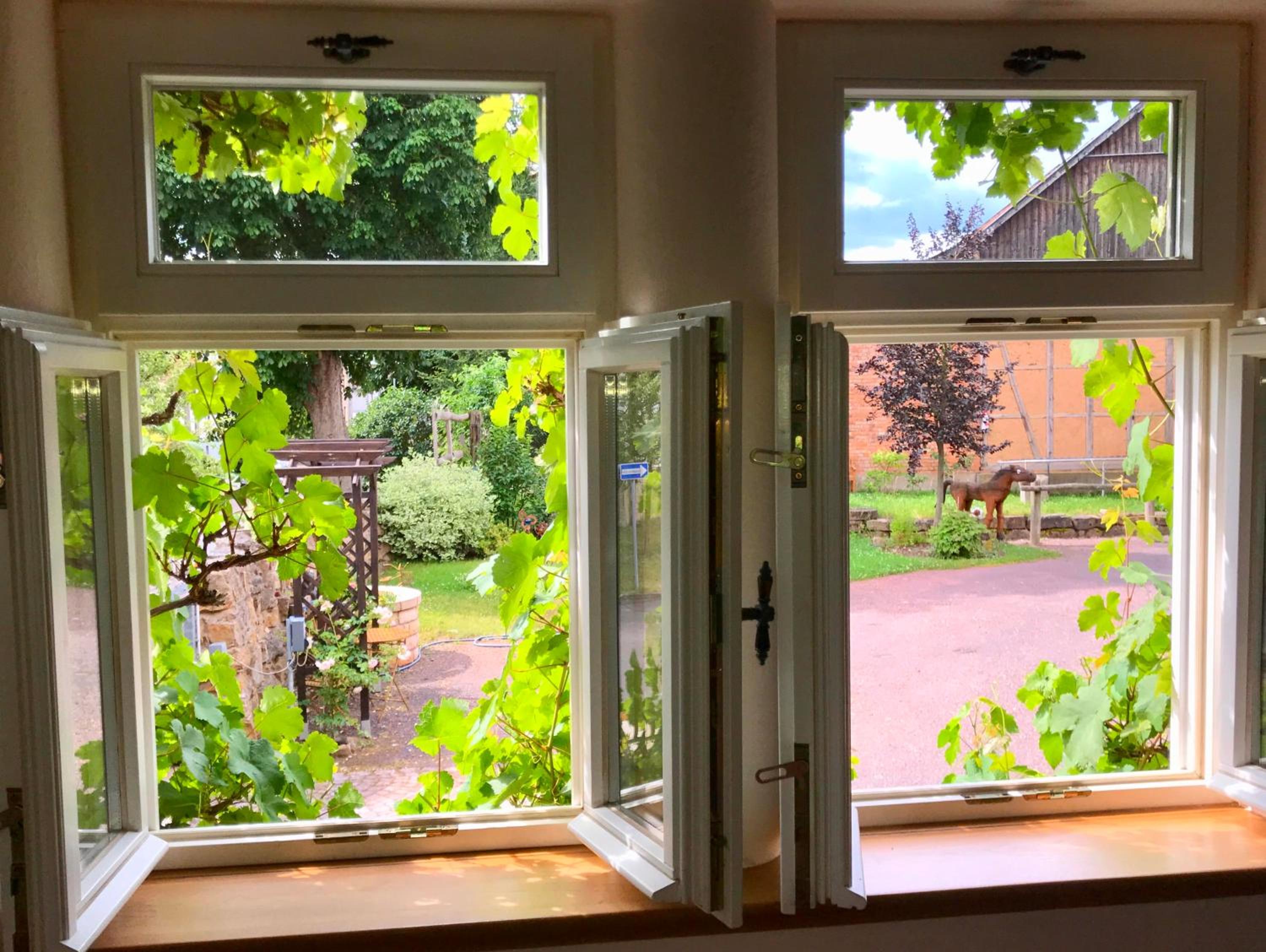 Fachwerkhaus mit rustikalem Weinkeller und Garten, ganze Unterkunft, gute Lage