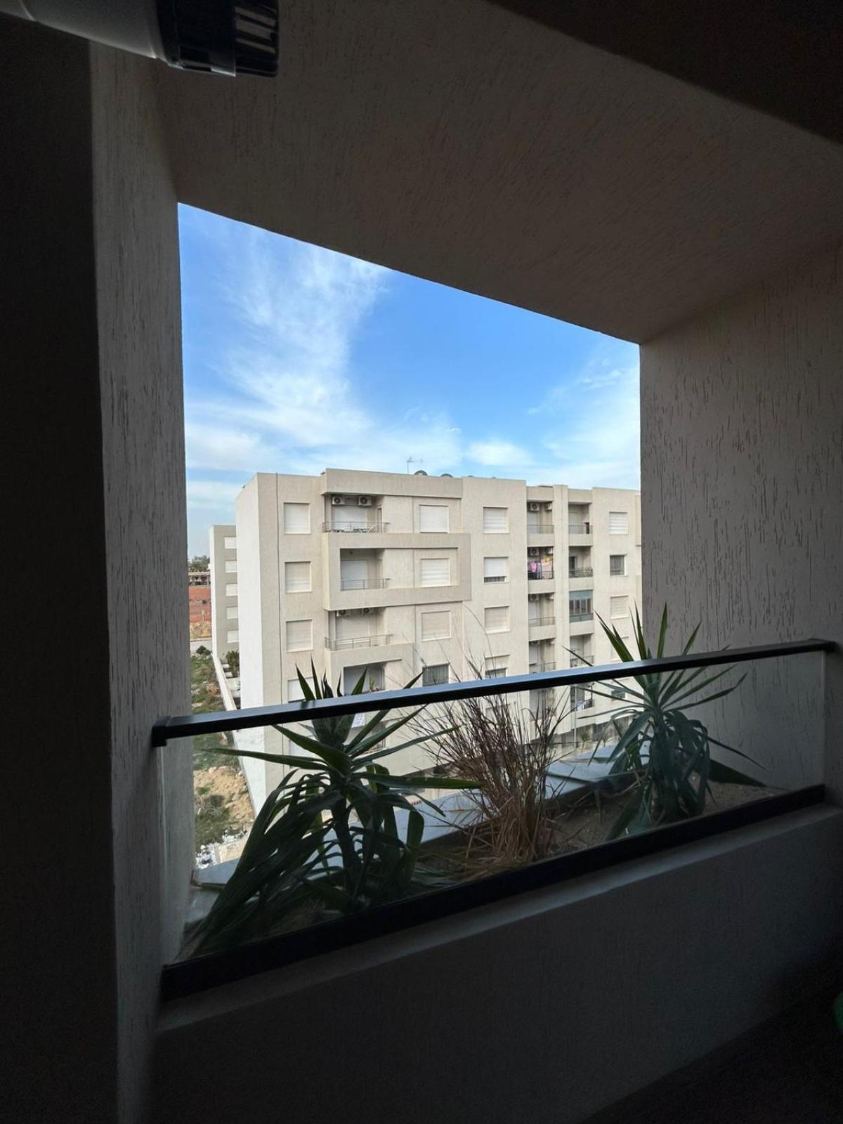 Cosy S1 a nouvelle Soukra view 4