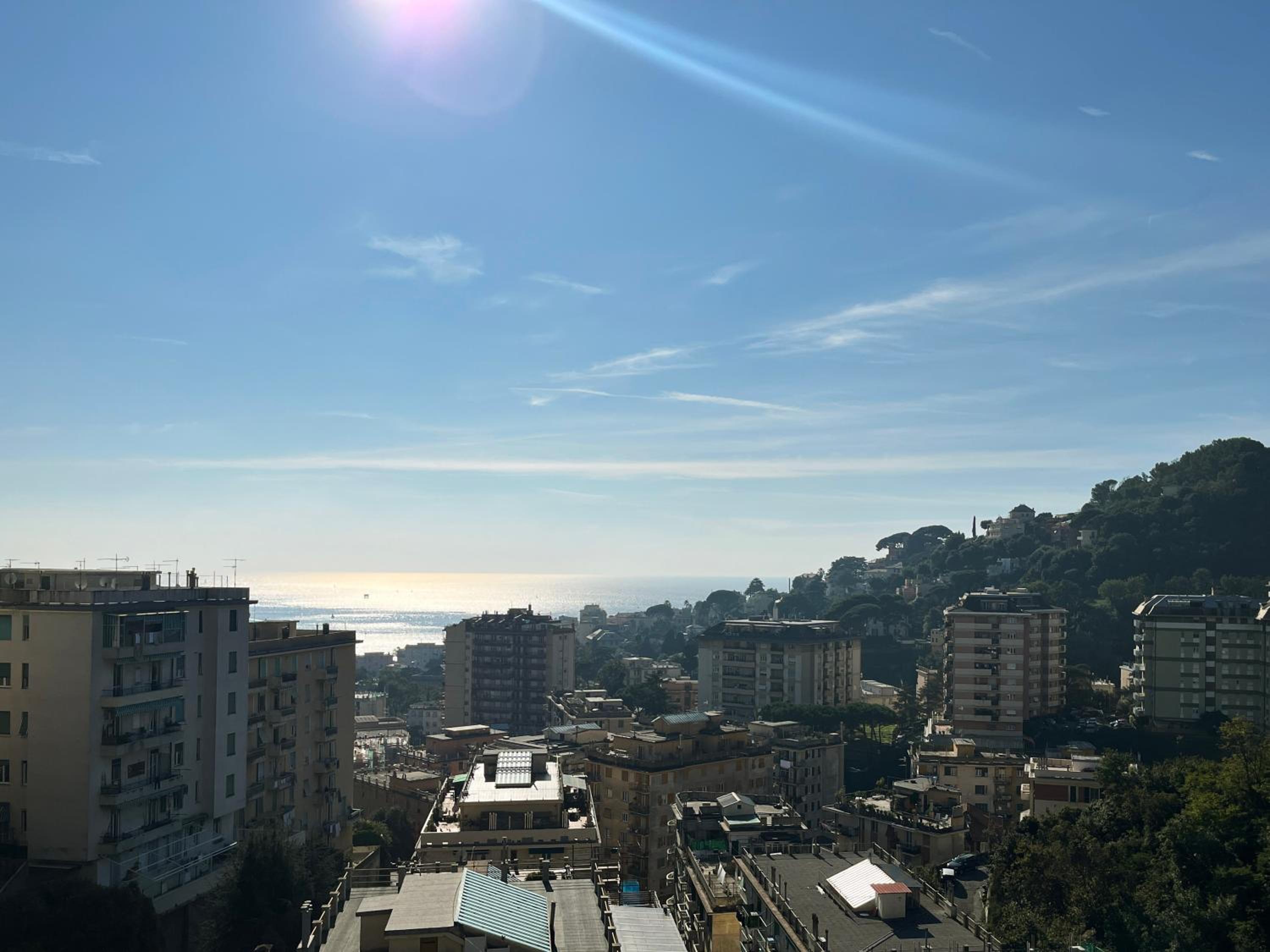 Giano Host - Vespucci photo 2