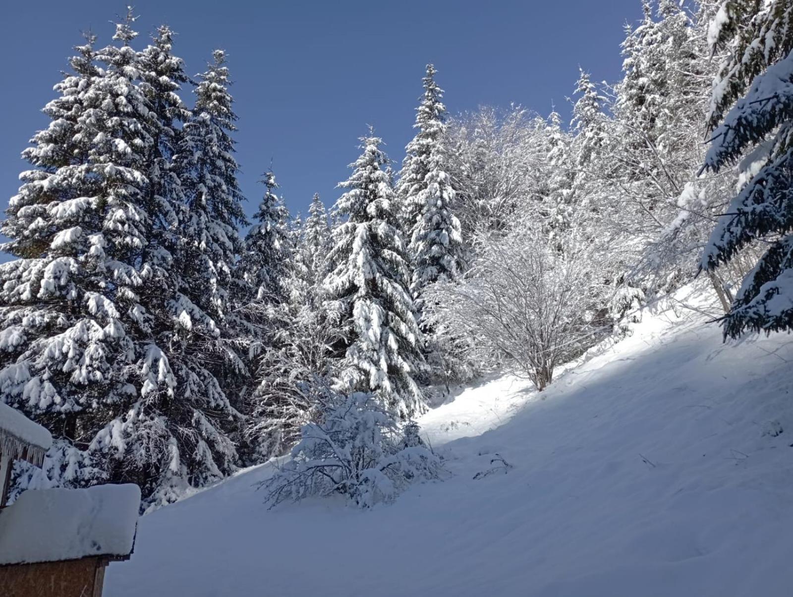 Cabană în inima munților - Gálkuti Kulcsosház view 5