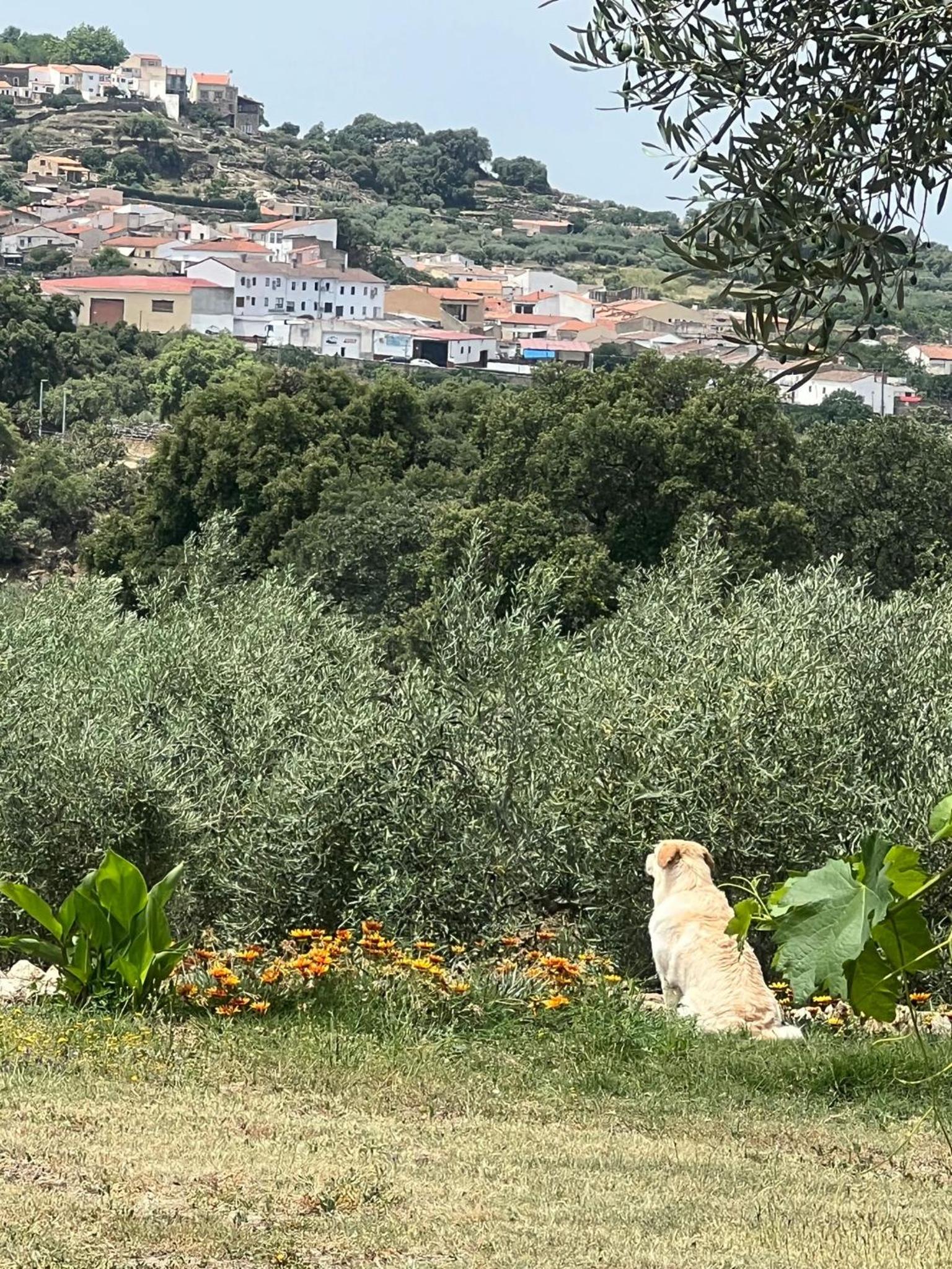 Casa Rural La Recuera