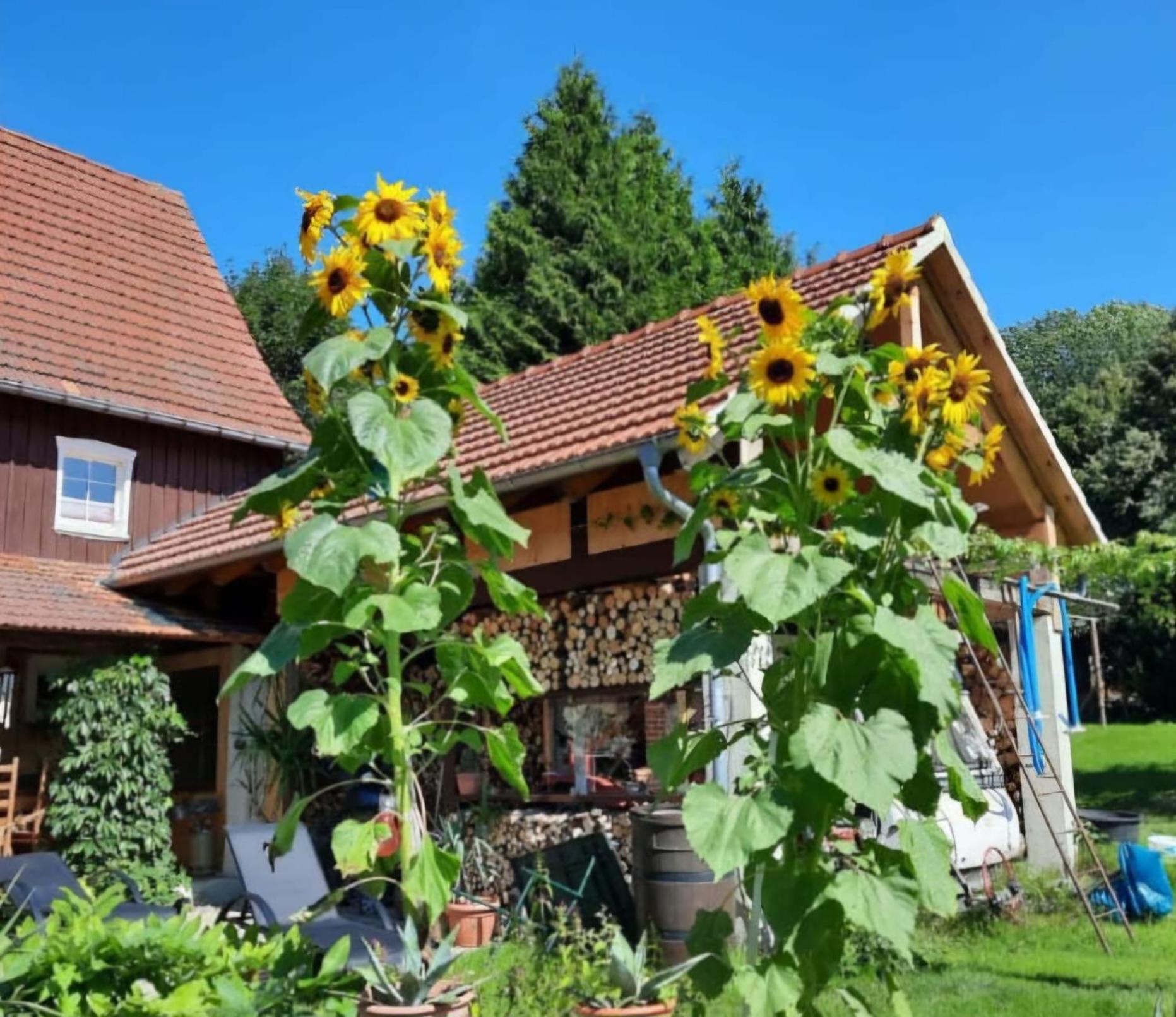 Waitzdorfer Landhaus Pieper