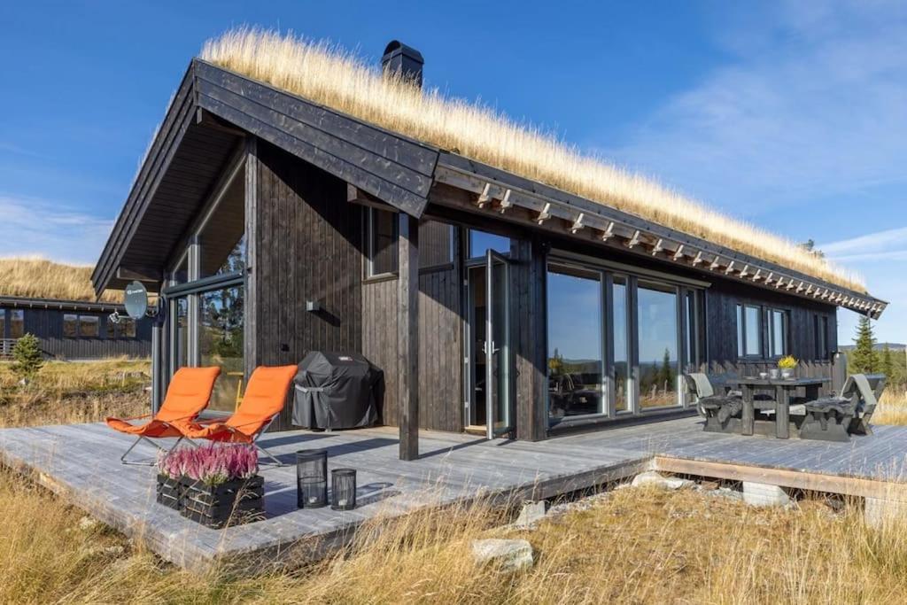 Modern cabin with a Mountain View view 3
