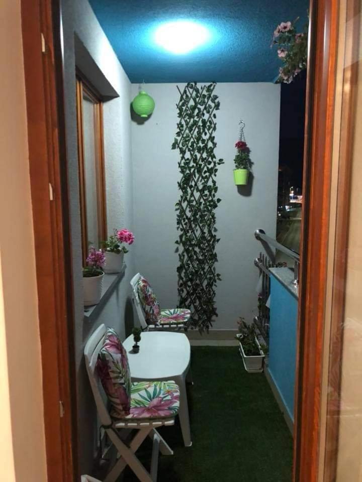Apartman FROG