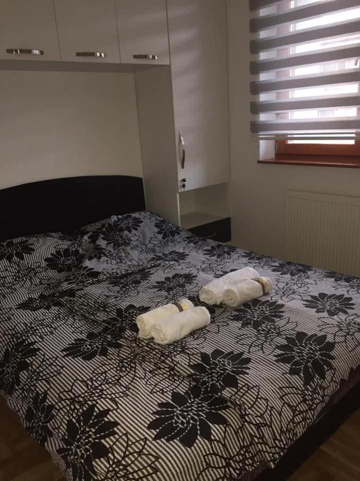 Apartman FROG