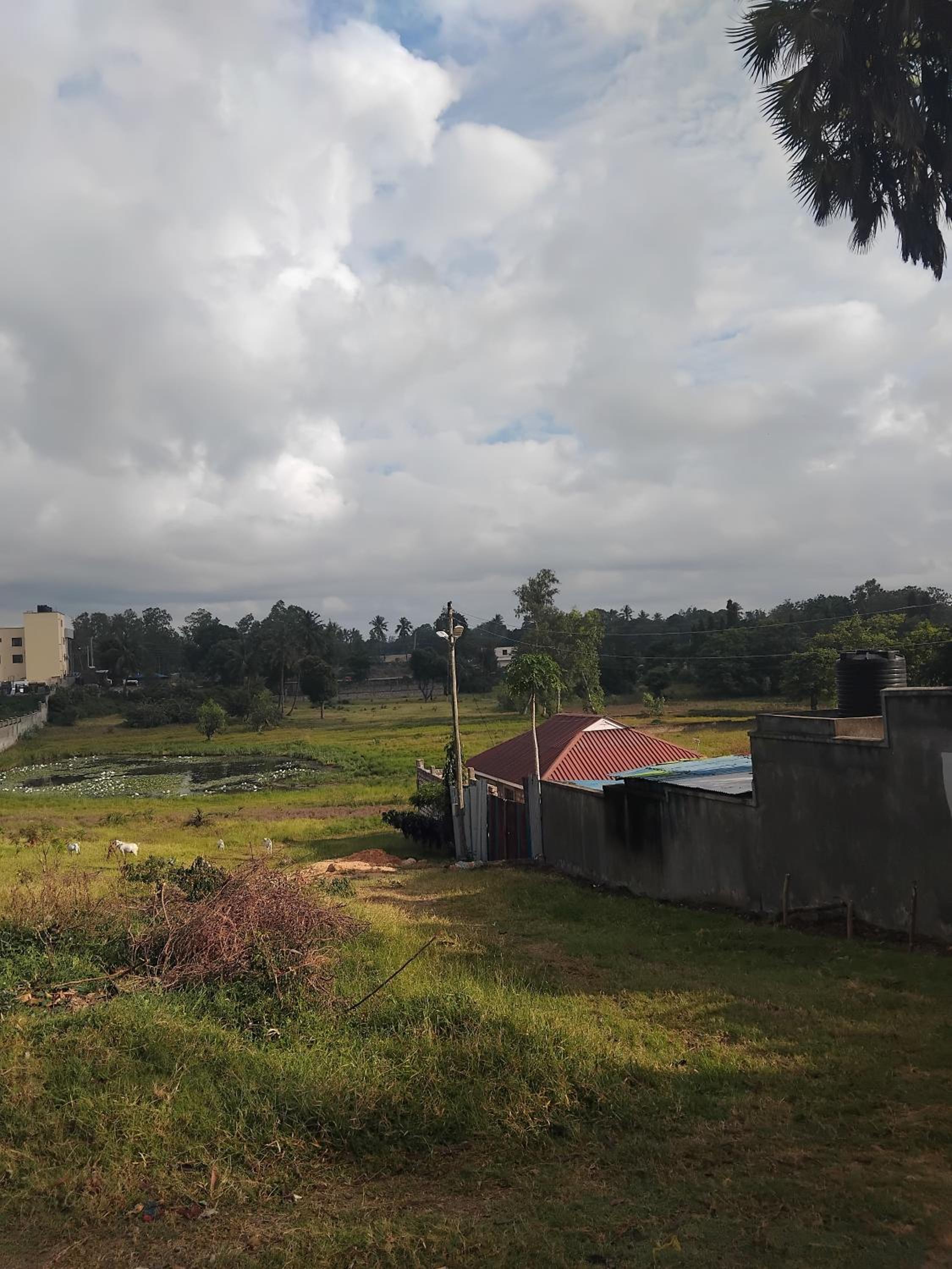 Along Mombasa-malindi highway