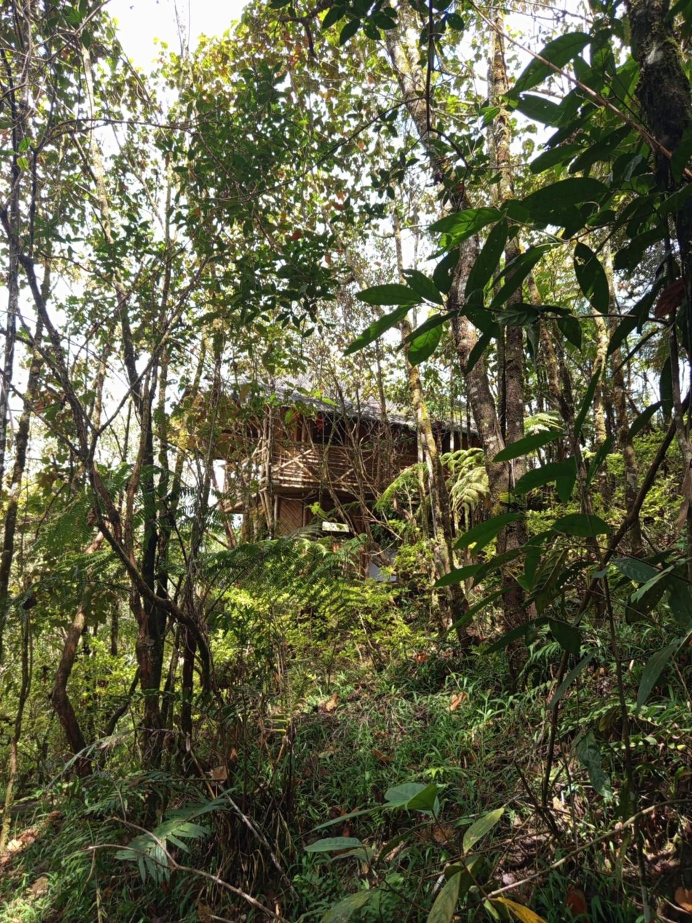 Aguatapé del Bosque