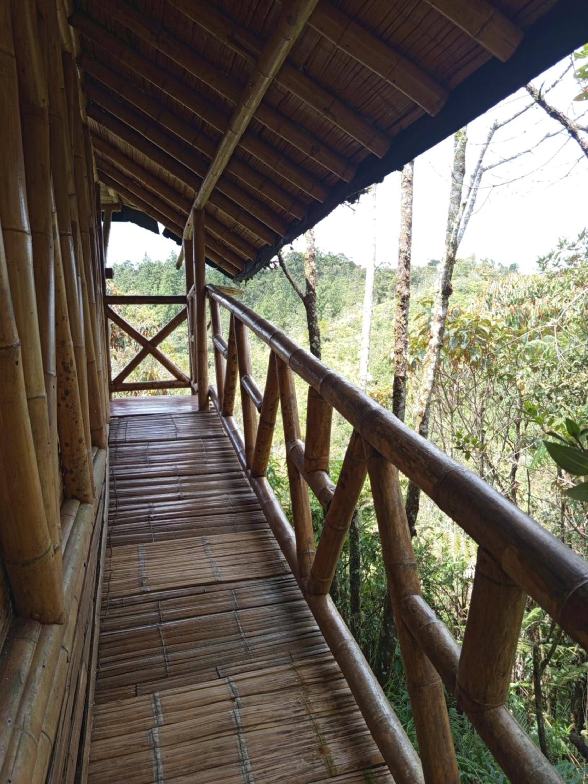 Aguatapé del Bosque