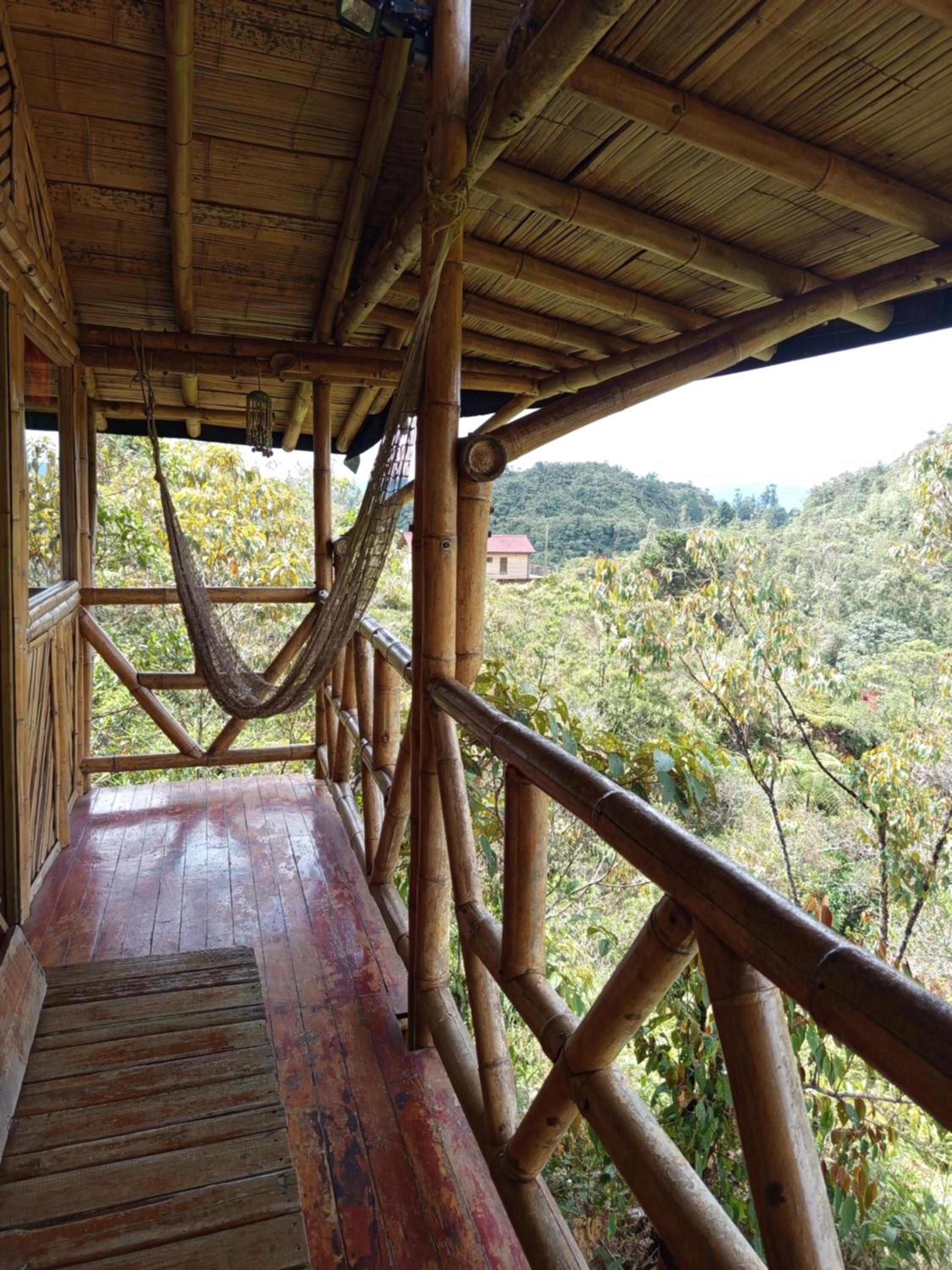 Aguatapé del Bosque
