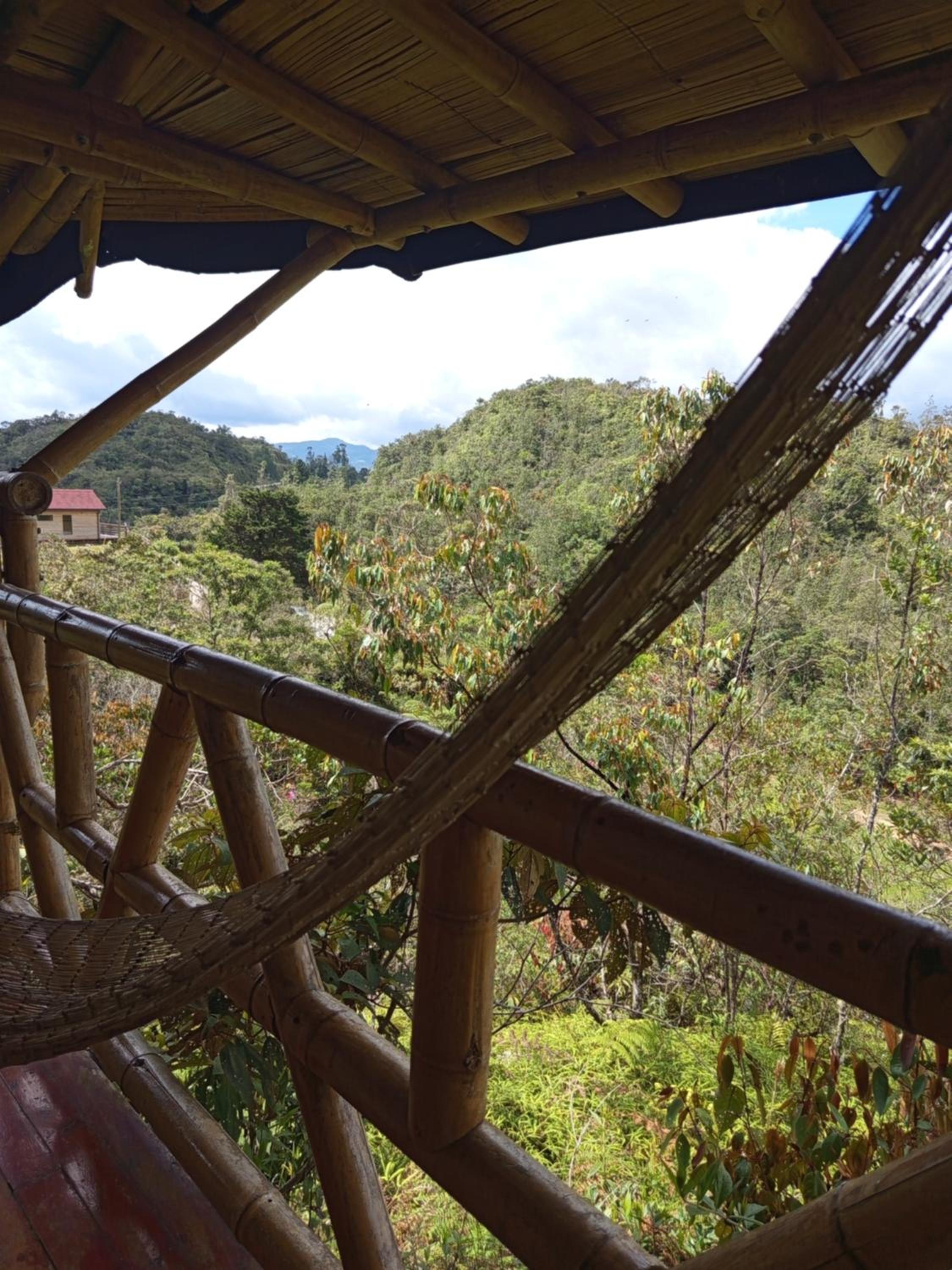 Aguatapé del Bosque