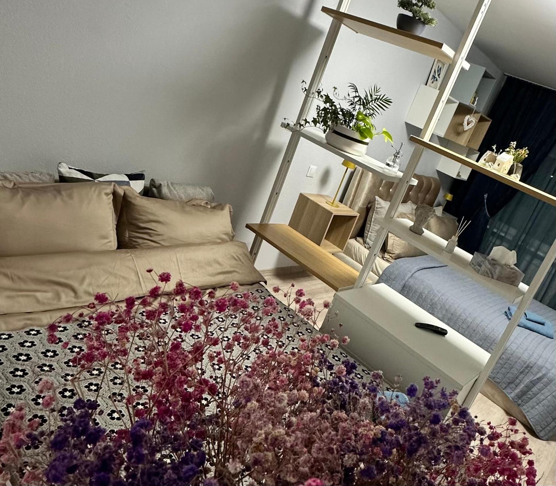 LIUxSAU apartmentai
