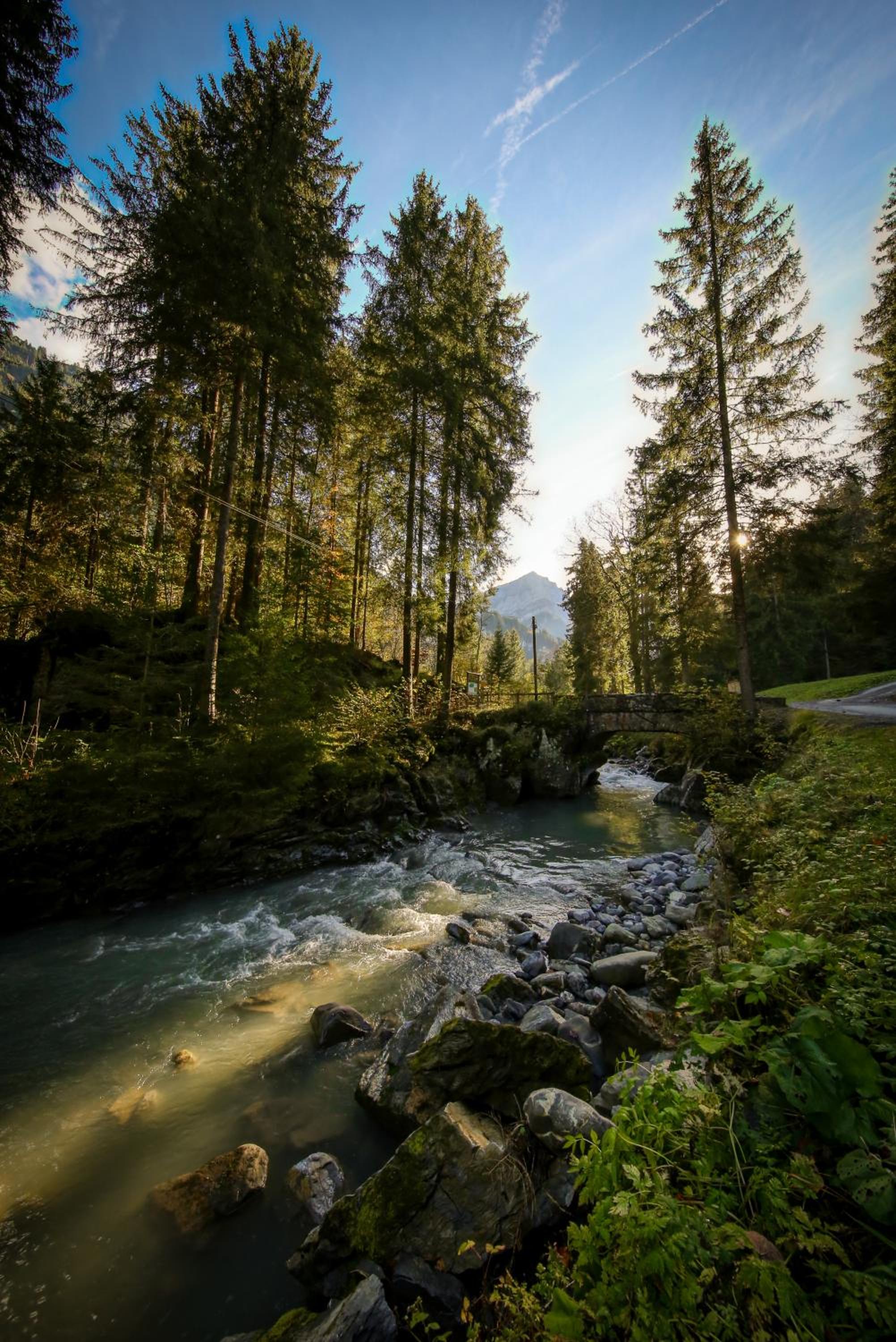Nature hideaway at Ferme a Marius