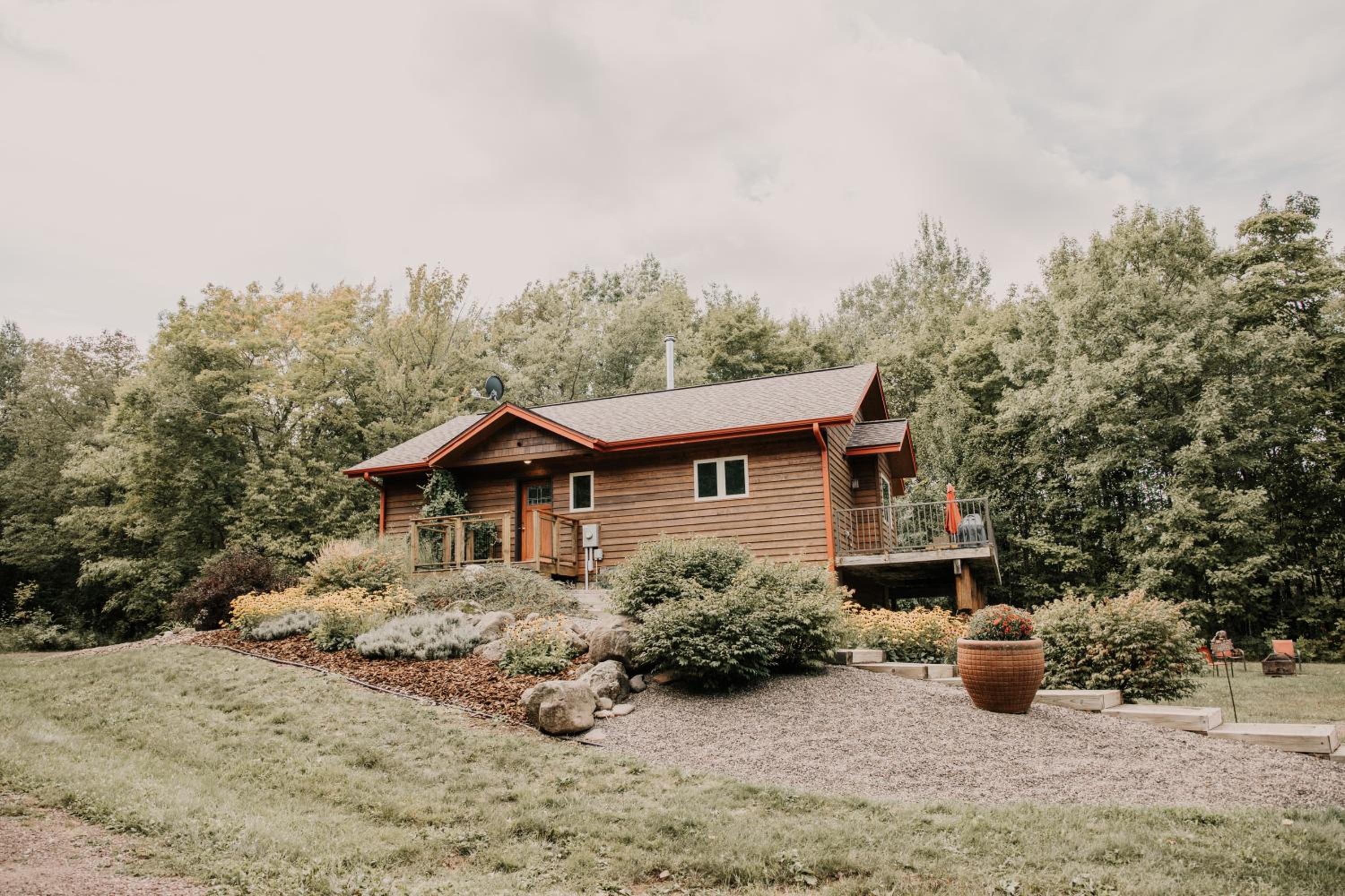 The Bear Cabin