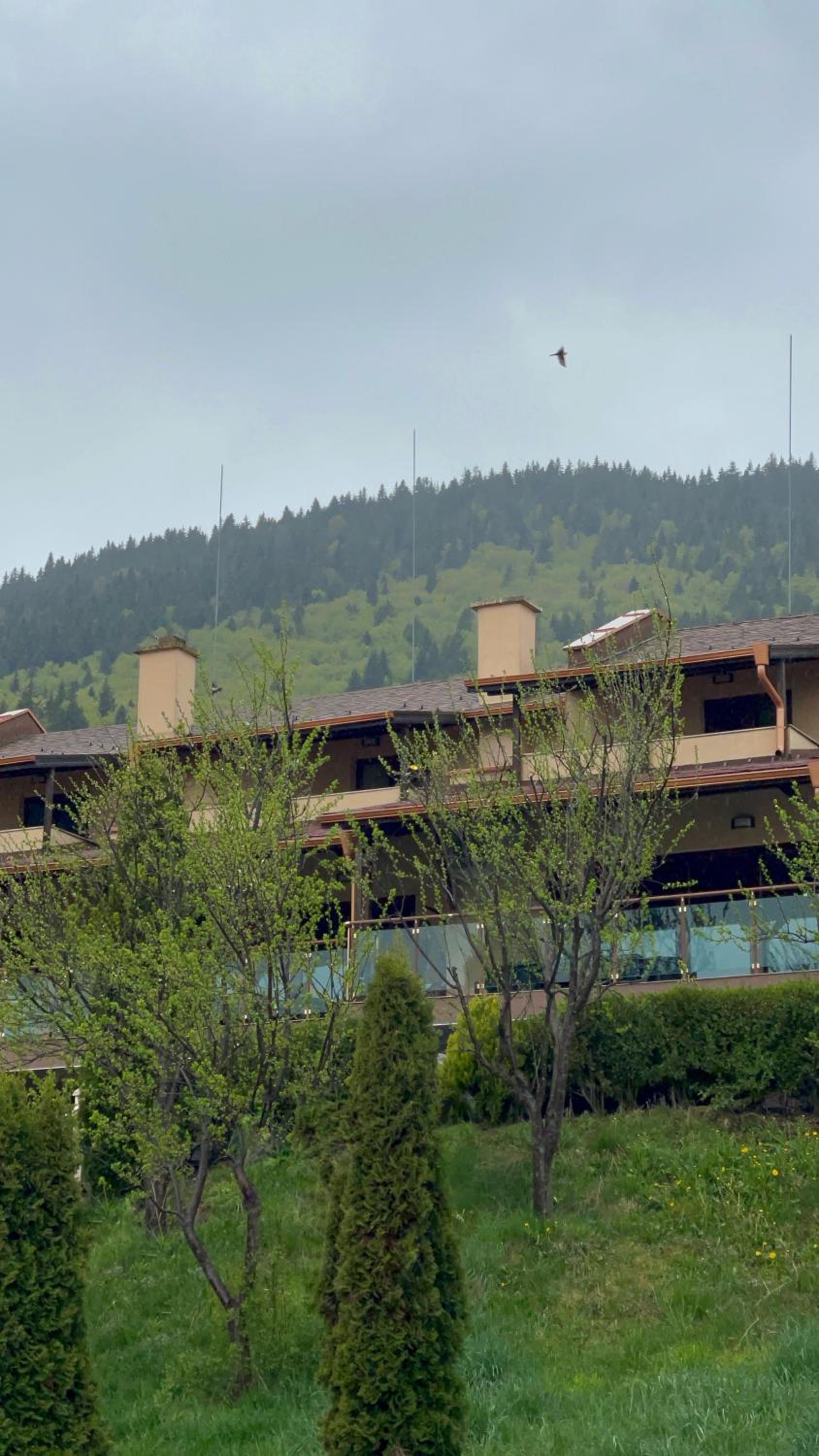 VIP Complex
