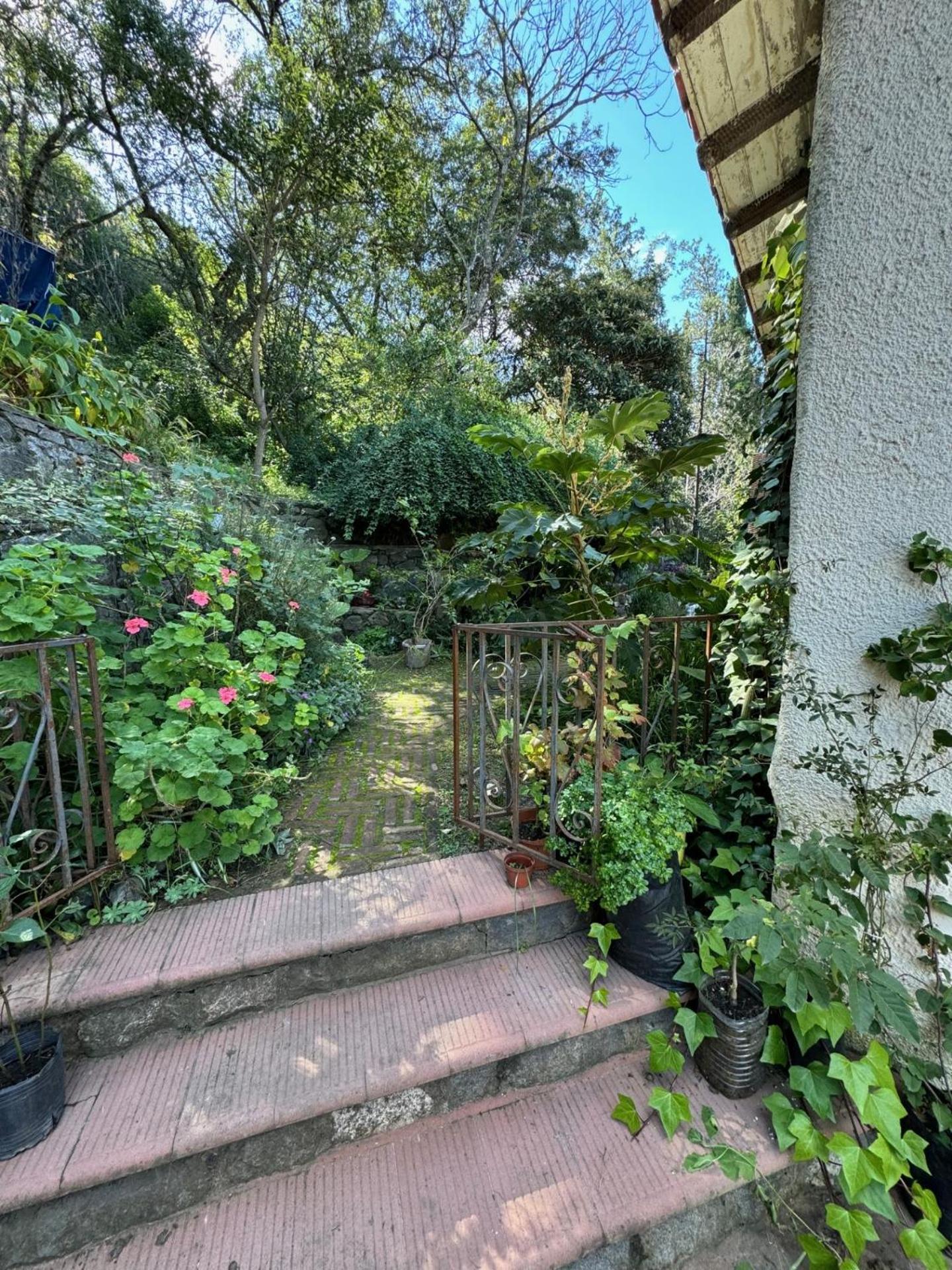 Casa mansa