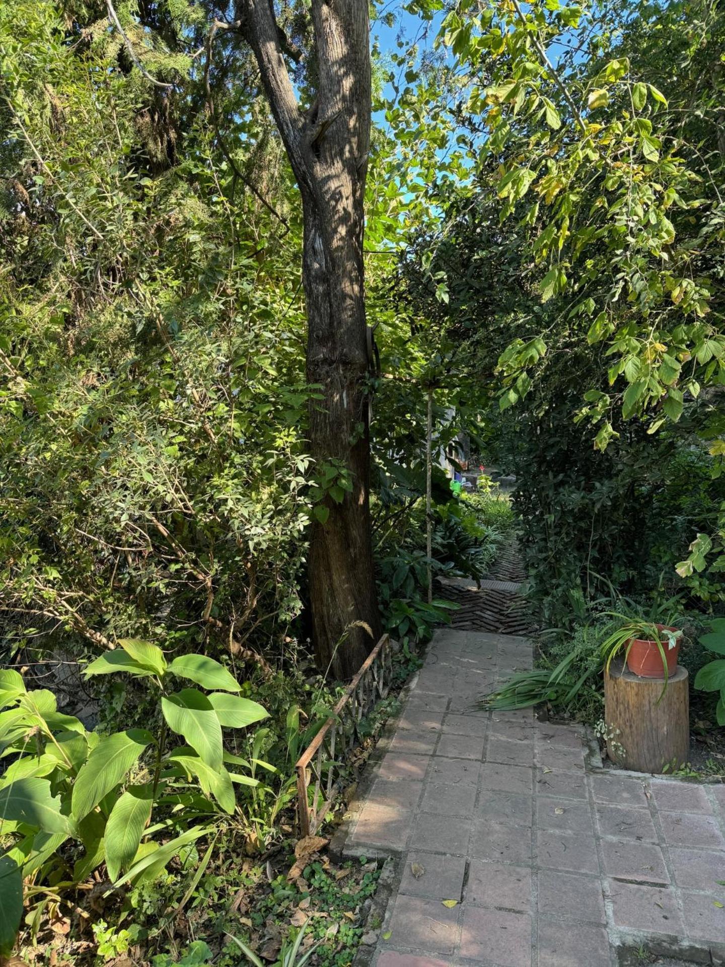 Casa mansa