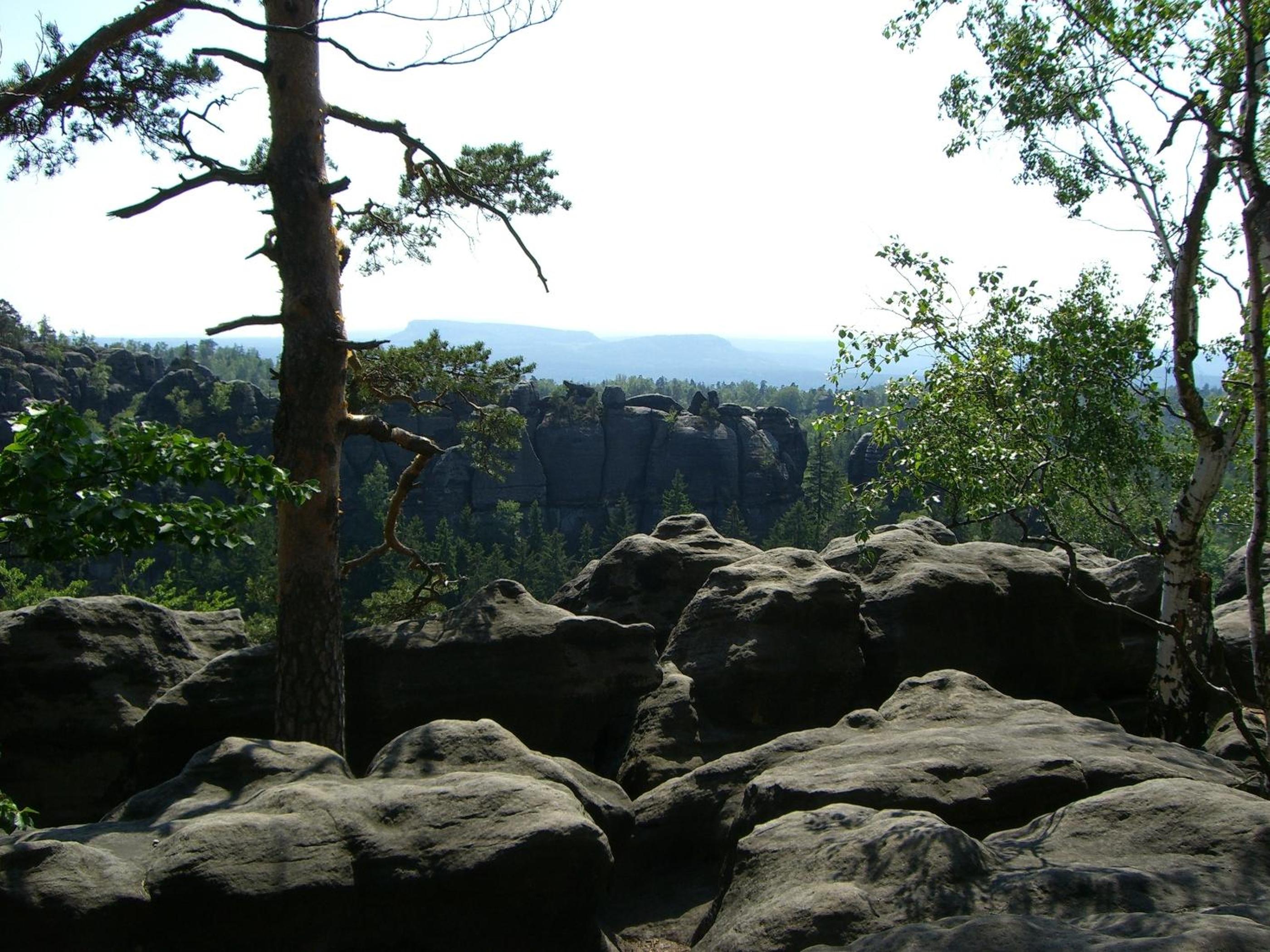 FeWo Magnolie in Steina bei Pulsnitz view 4