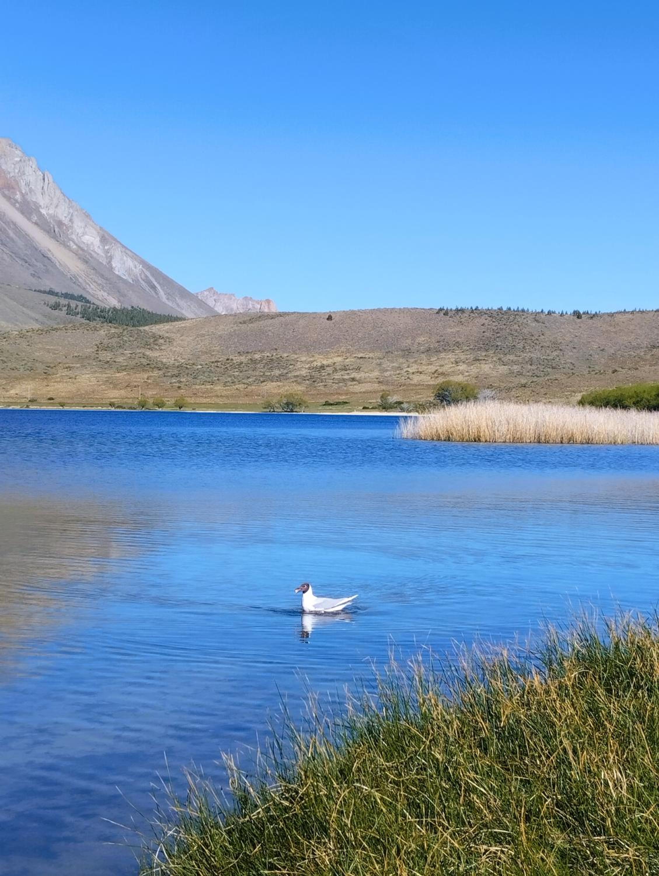 Ahinoa, entre Abrojos y Mallines