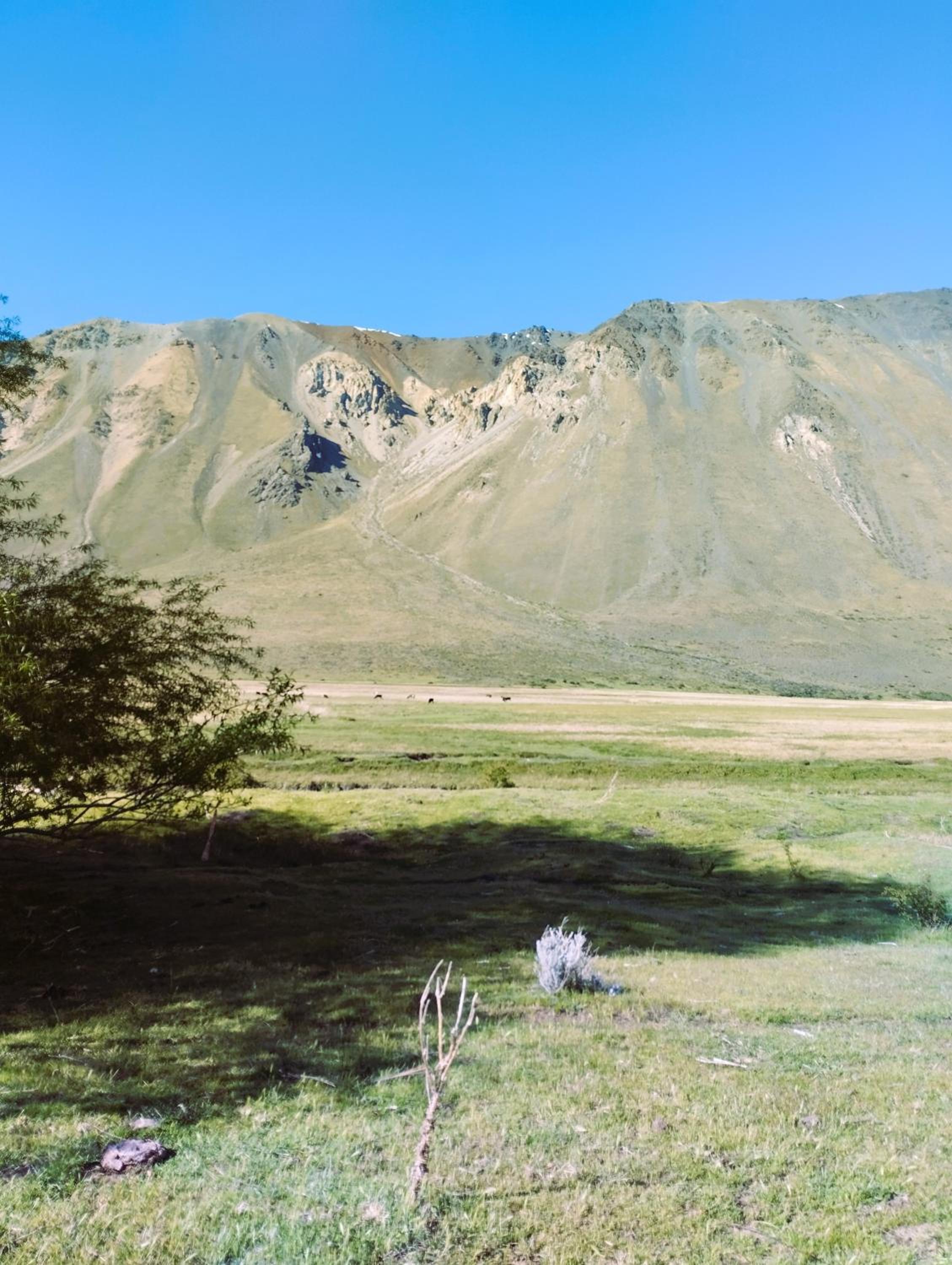Ahinoa, entre Abrojos y Mallines