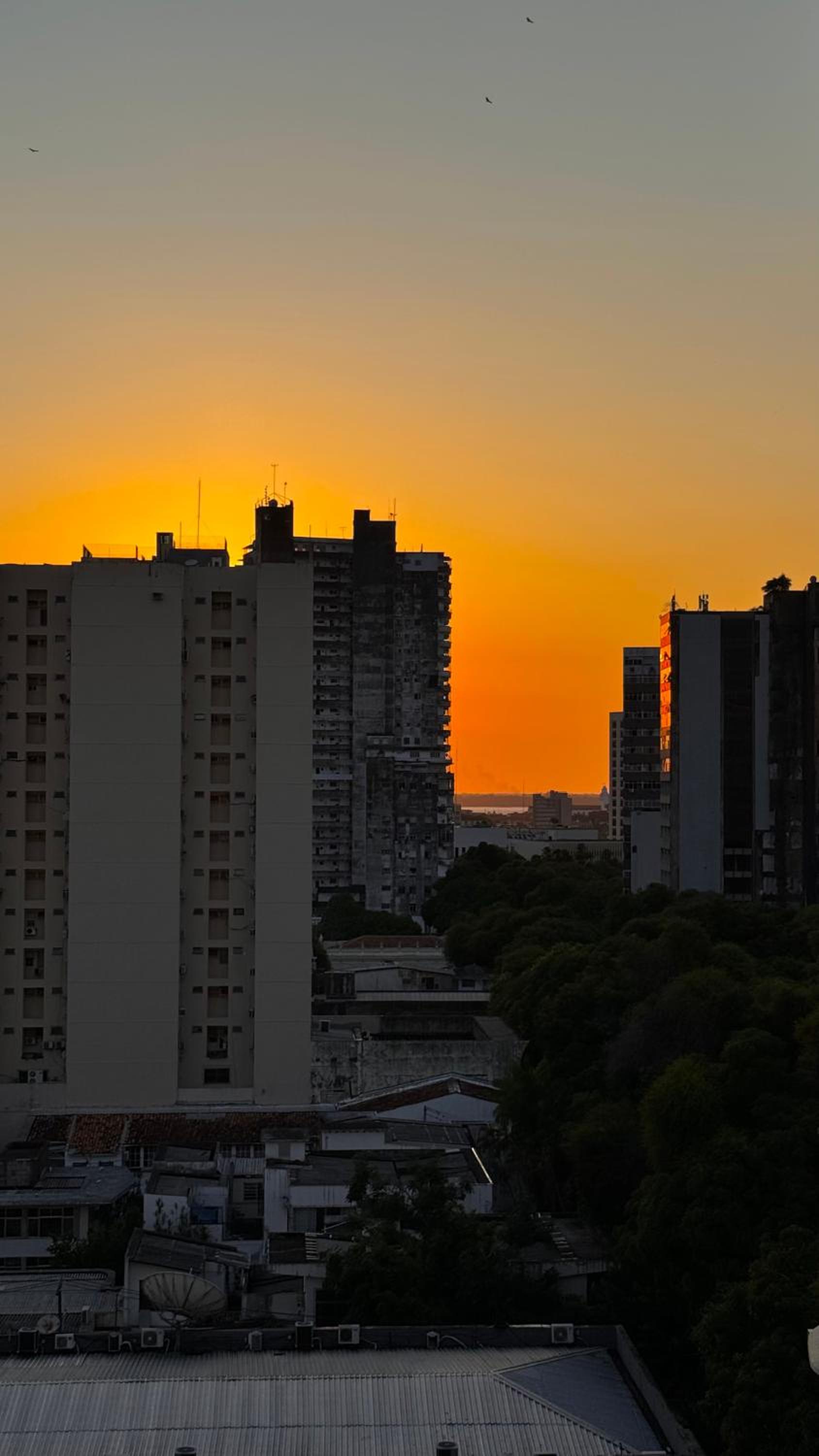 Apartamento BOSSA