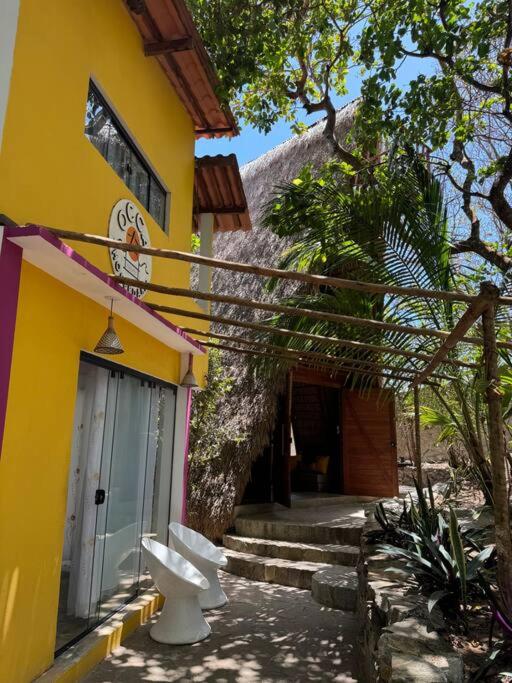 OccA Pipa - Flat Bem-te-vi