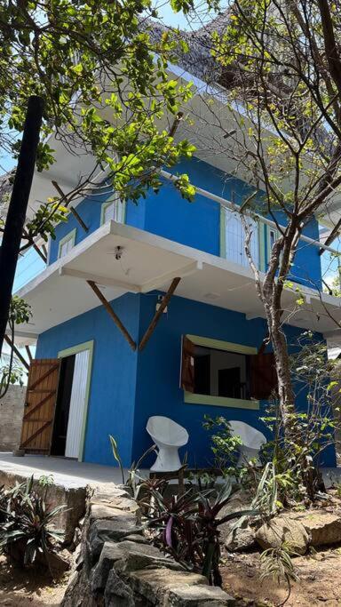OccA Pipa Studio Arara-azul