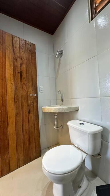 OccA Pipa Studio Arara-azul