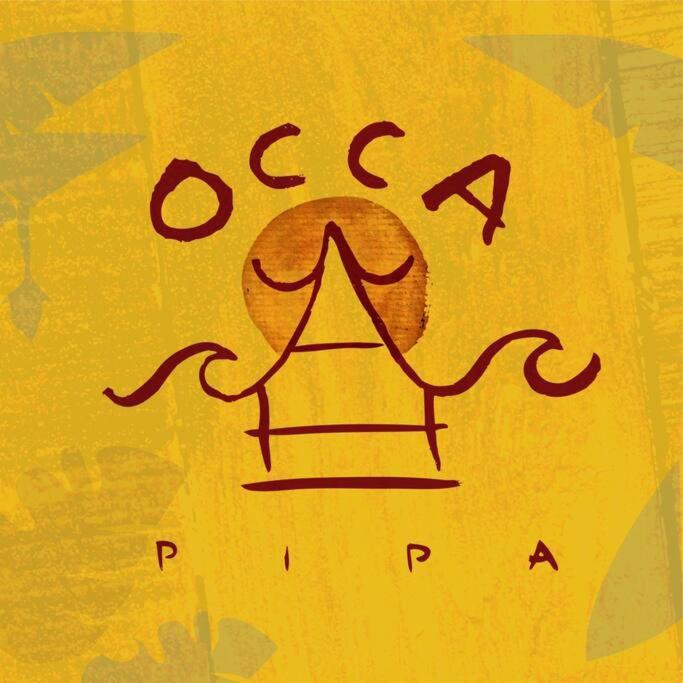 OccA Pipa Studio Arara-azul