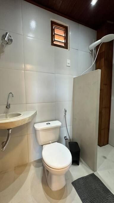 OccA Pipa Studio Arara-azul