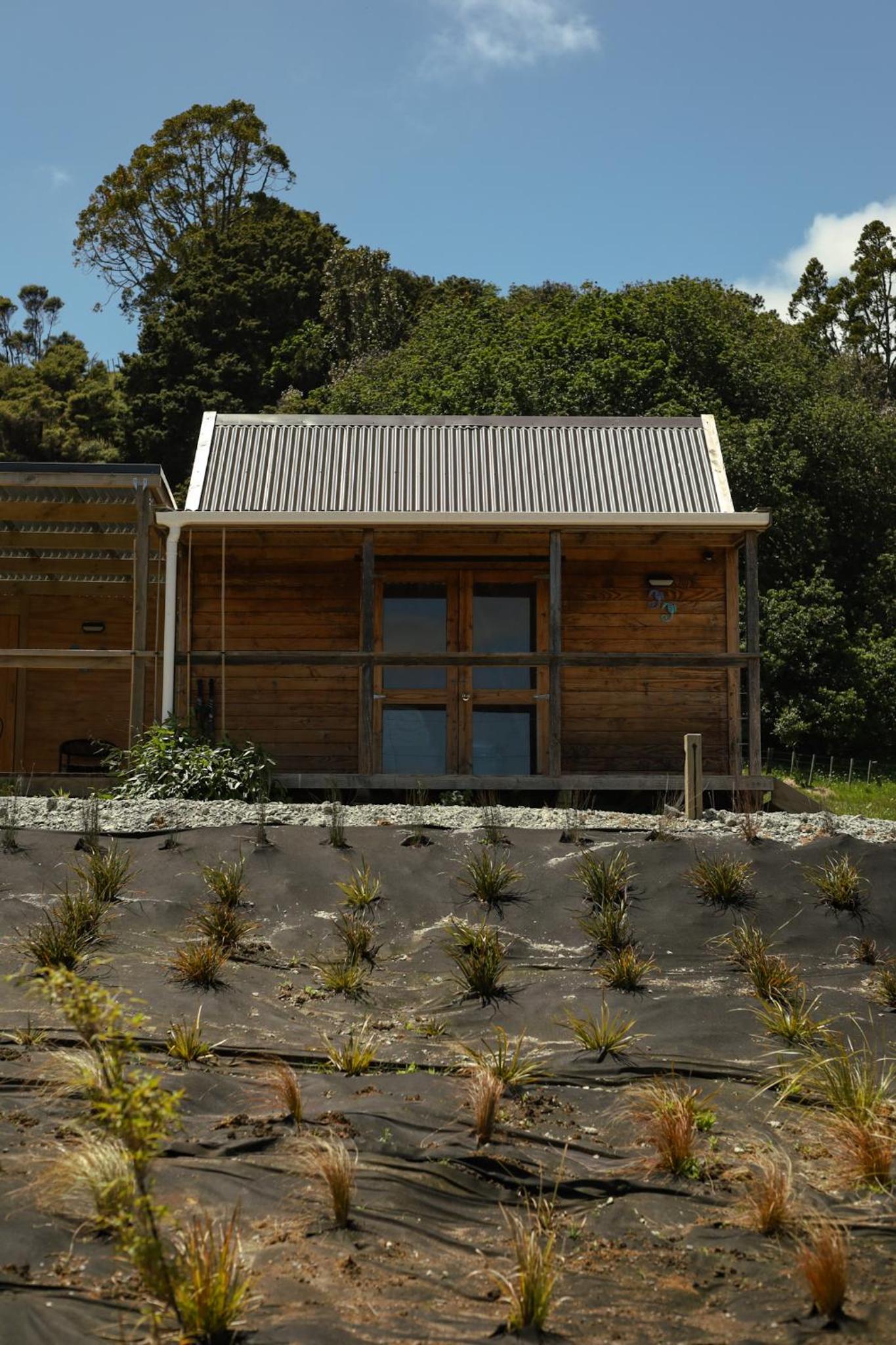 Kauri Ora Farmstay view 4